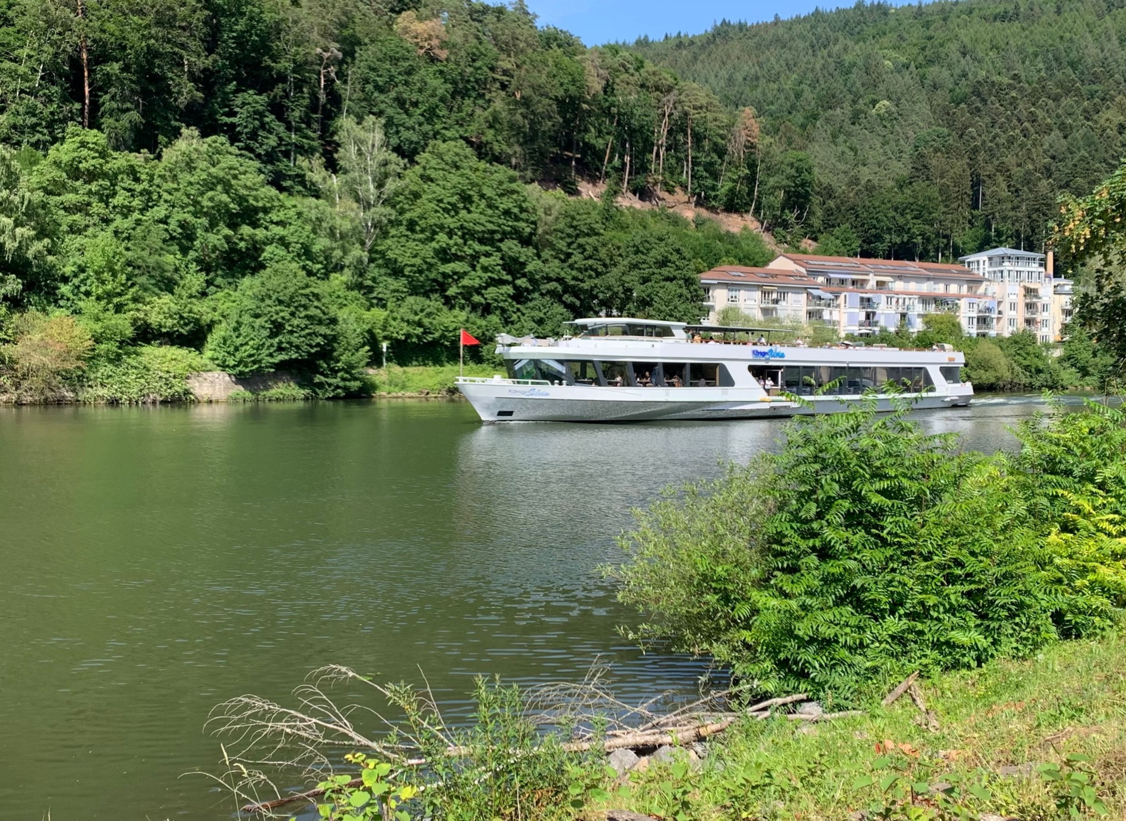 Camping Heidelberg — Photo 6