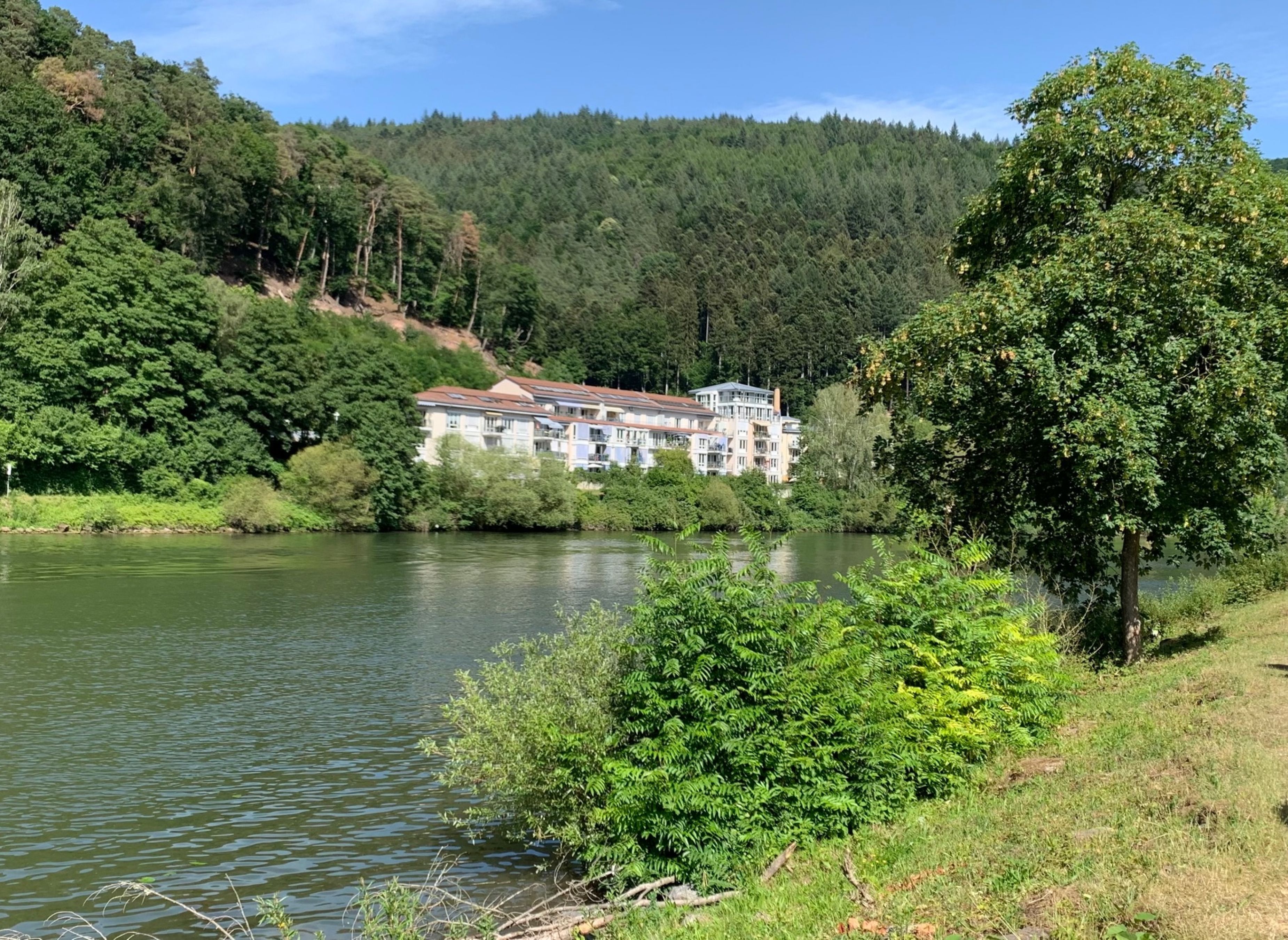 Camping Heidelberg — Photo 5