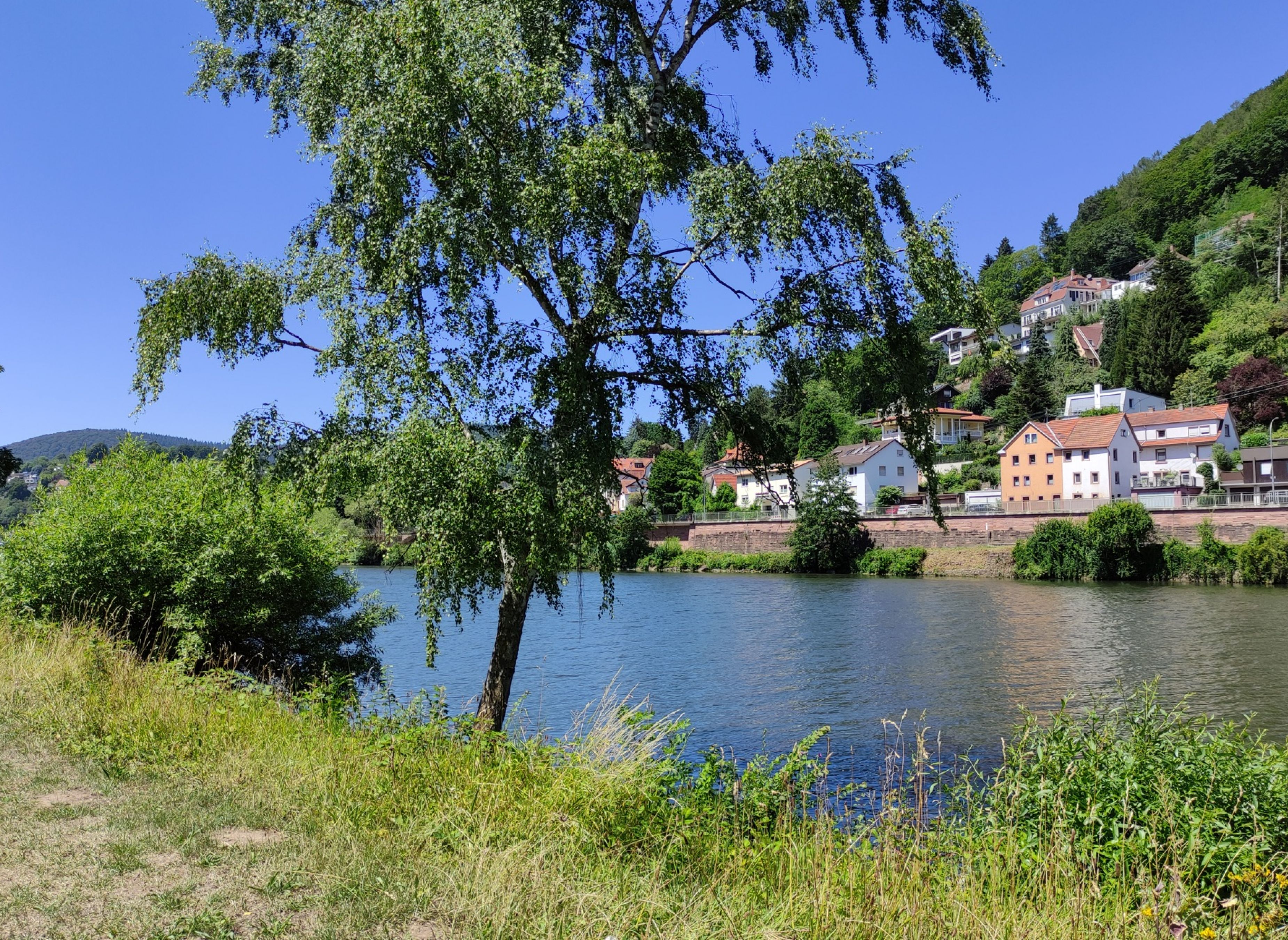 Camping Heidelberg — Photo 3