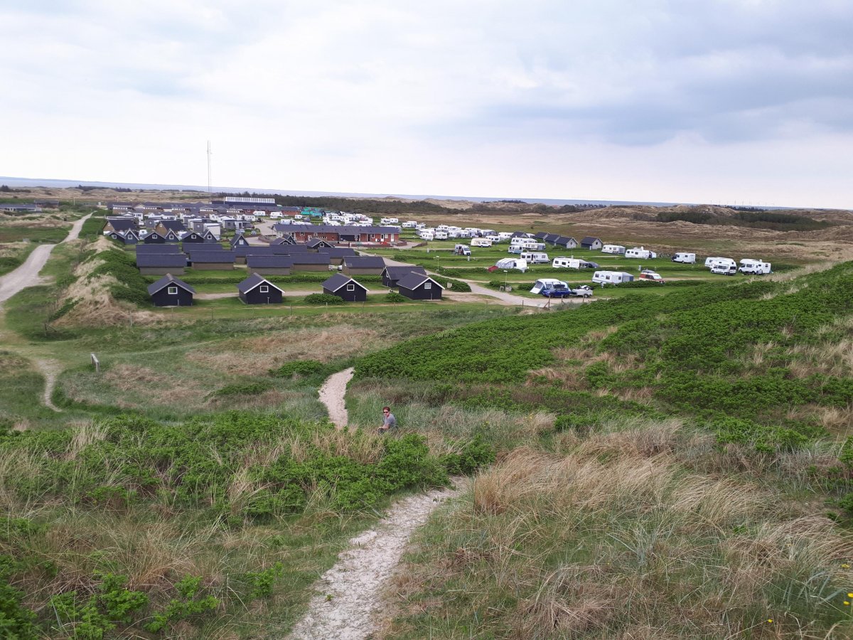 Dancamps Nordsø — Campsite in Hvide Sande