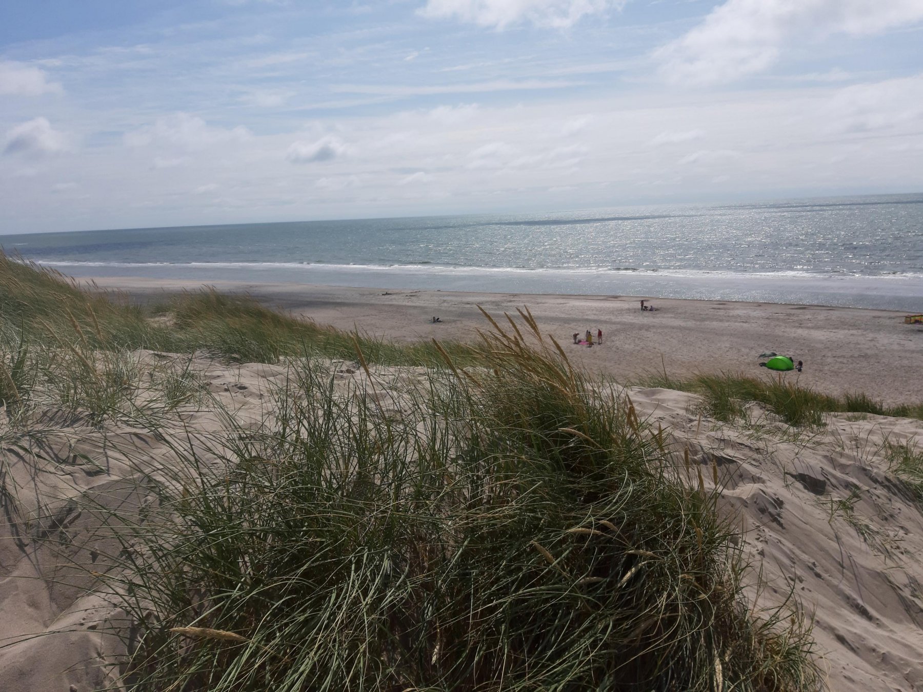 Dancamps Nordsø — Photo 5