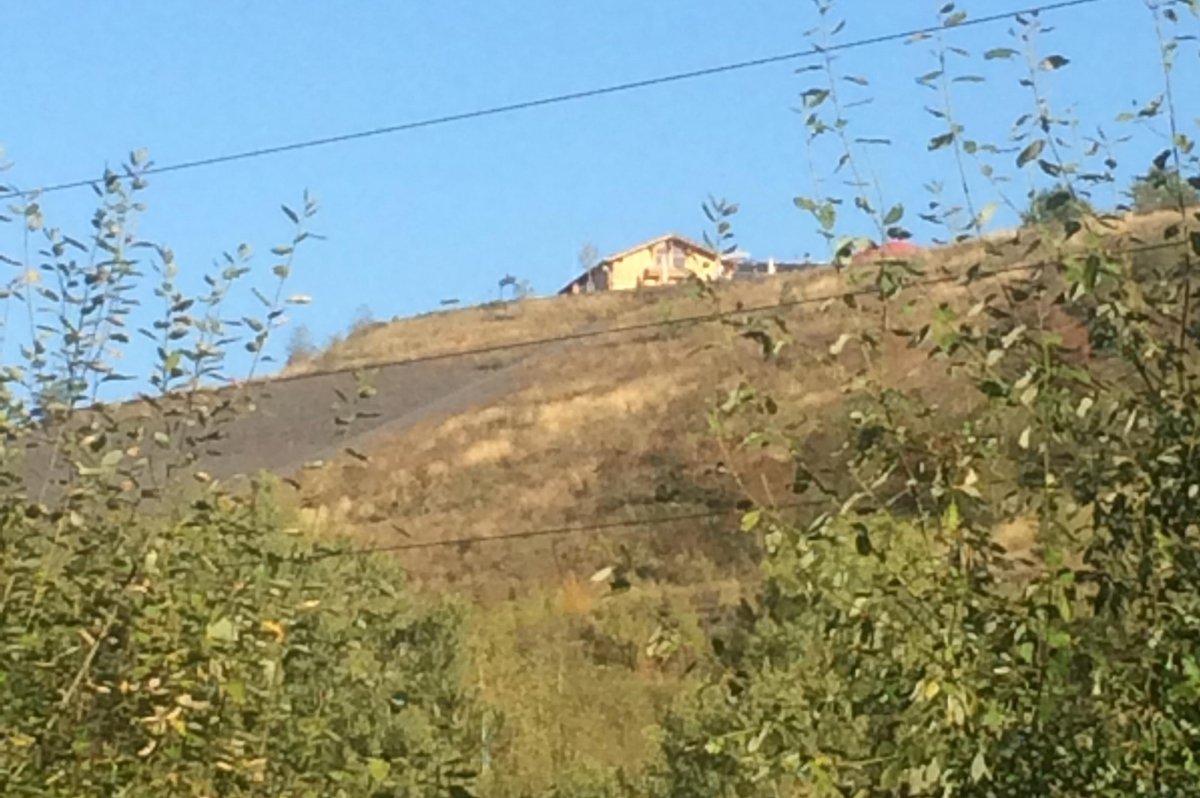 Wassergarten — Photo 4