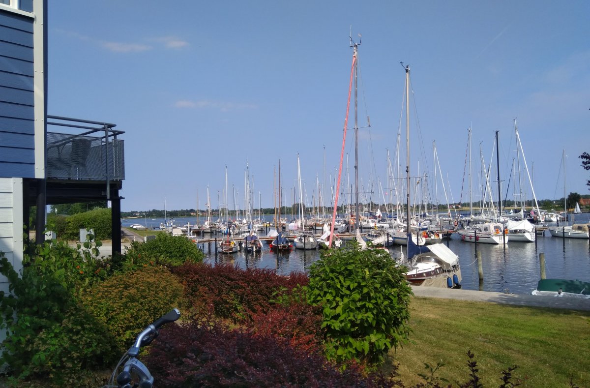 Wassersportgemeinschaft Arnis Grödersby — Photo 4