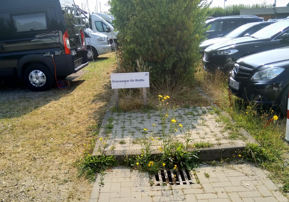 Wassersportgemeinschaft Arnis Grödersby — Photo 5