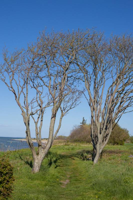 Autocamperplads Als — Photo 5