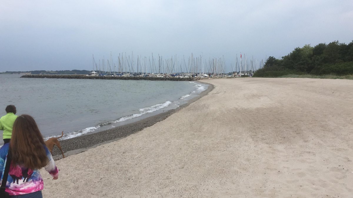 Sønderborg Yachthafen — Photo 2