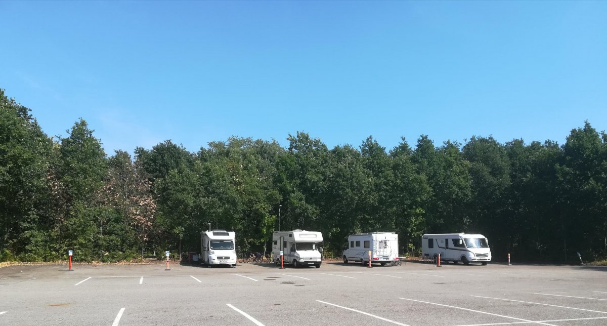 Sønderborg Yachthafen — Photo 3