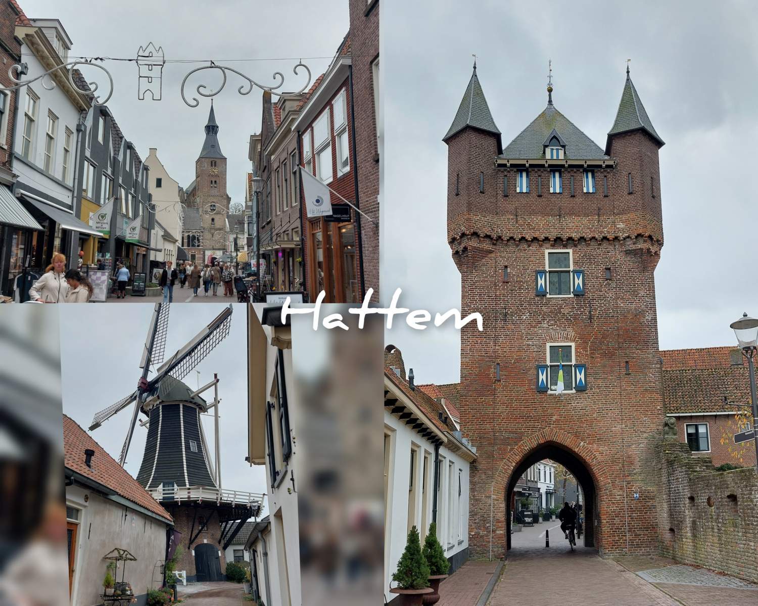 IJsseldelta Marina — Photo 5