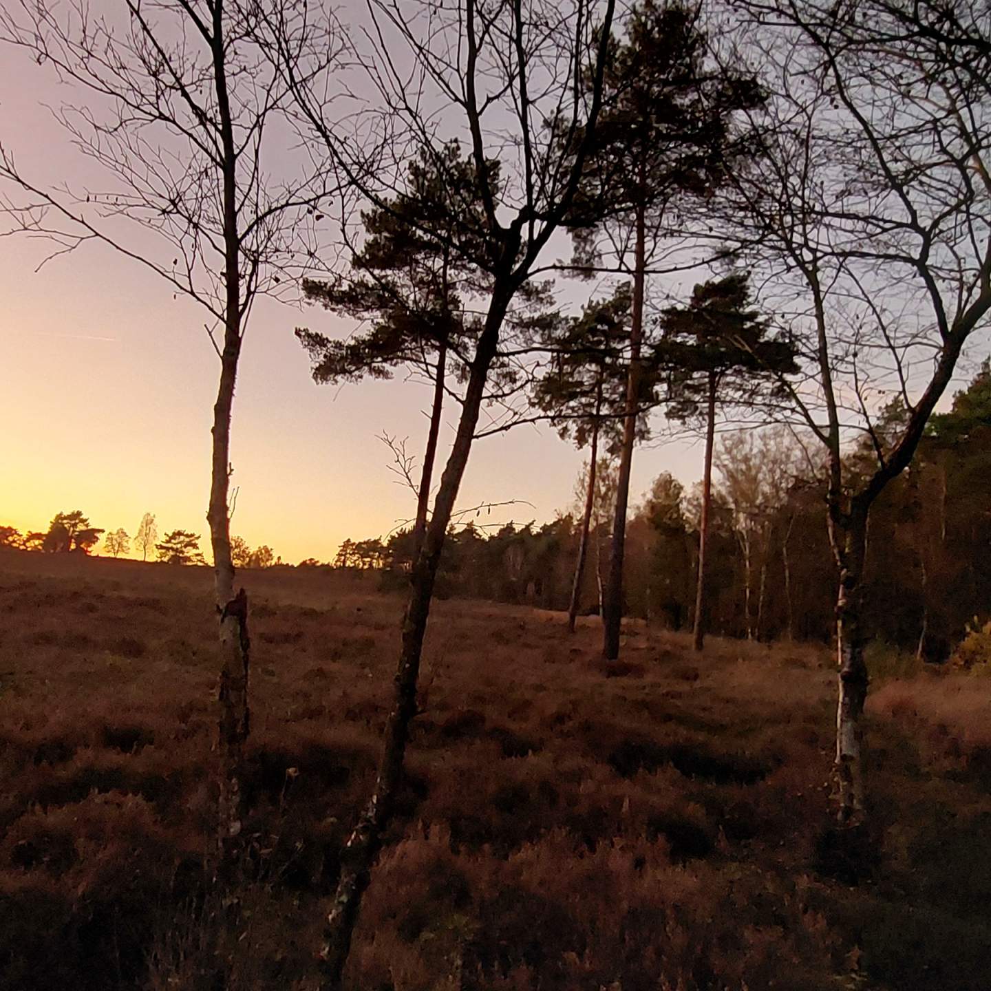 IJsseldelta Marina — Photo 3
