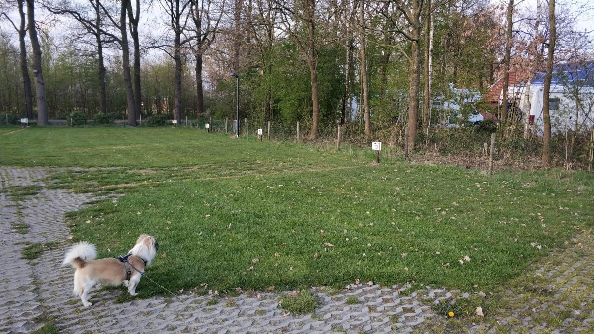 Erve Velpen Camperplaatsen — Photo 4