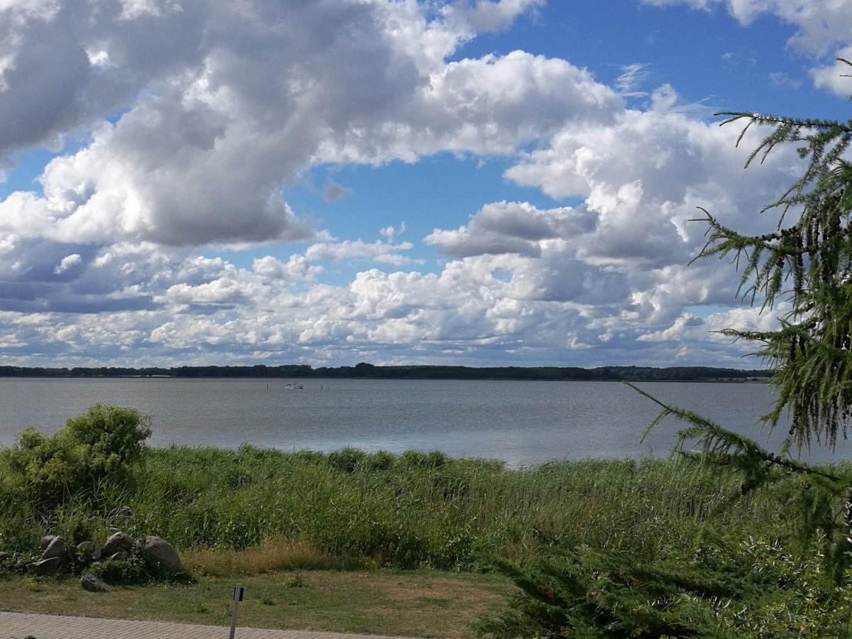 Usedom Achterwasserblick — Photo 2