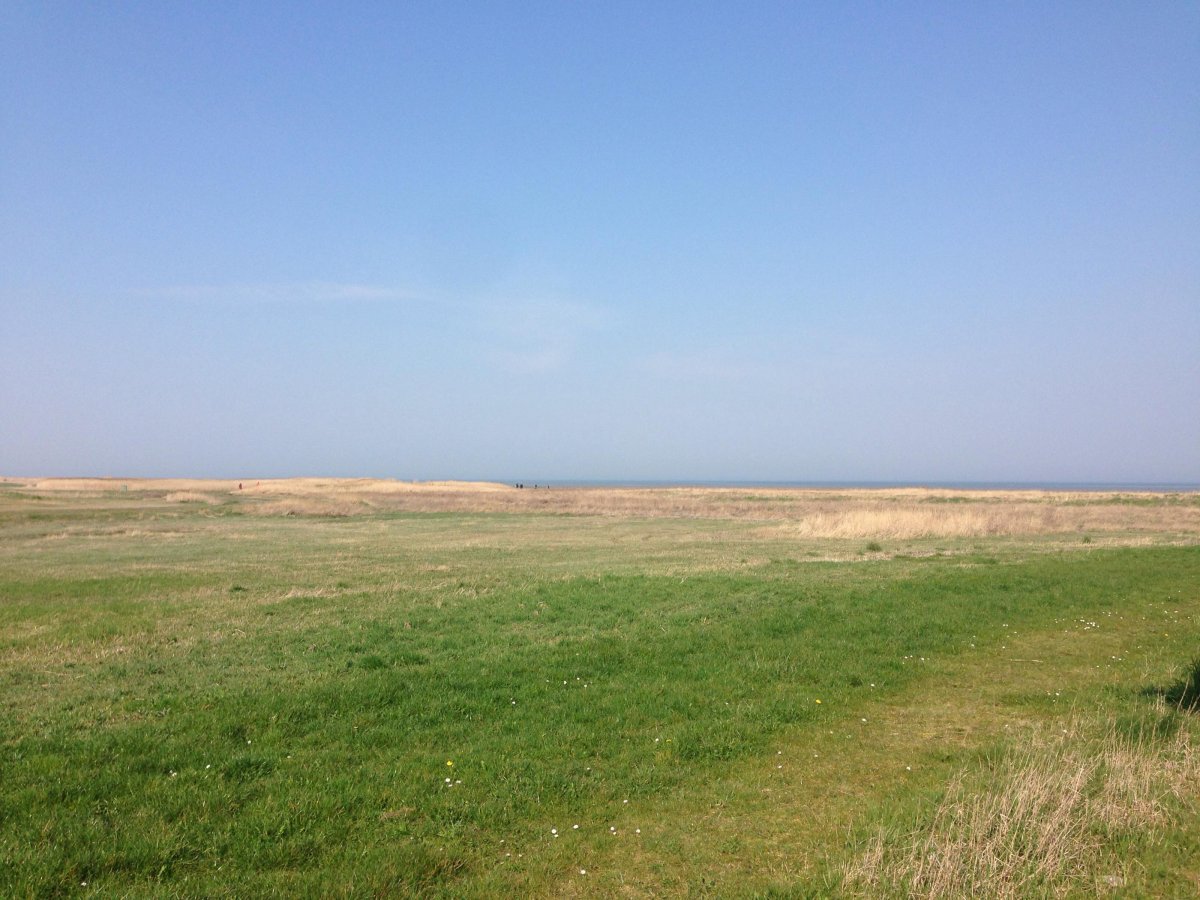 Stellplatz Hooksiel — Photo 4