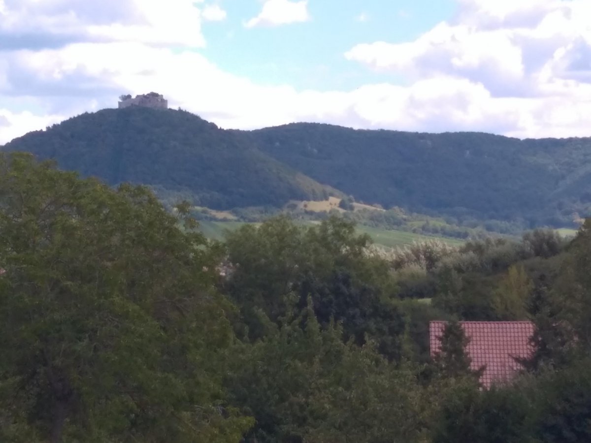 Kohlberg am Jusi — Photo 2