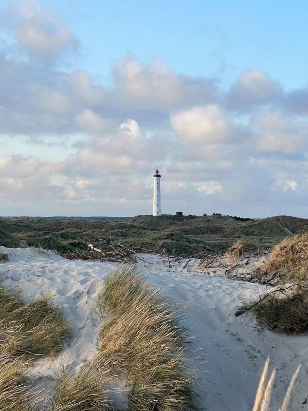 DCU-Camping Lyngvig Strand — Photo 5