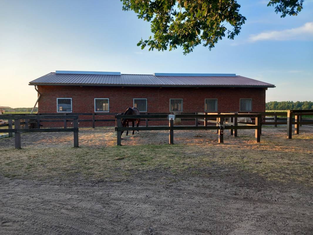 Campingplatz Westheide — Photo 4