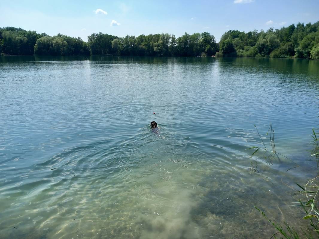 Campingplatz Westheide