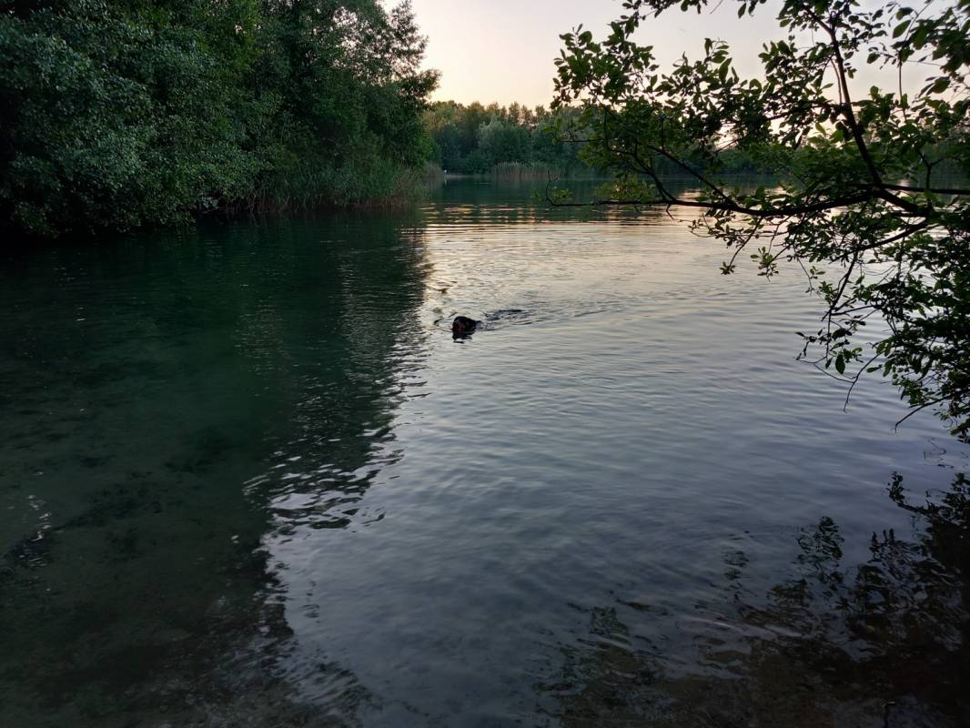 Campingplatz Westheide — Photo 3