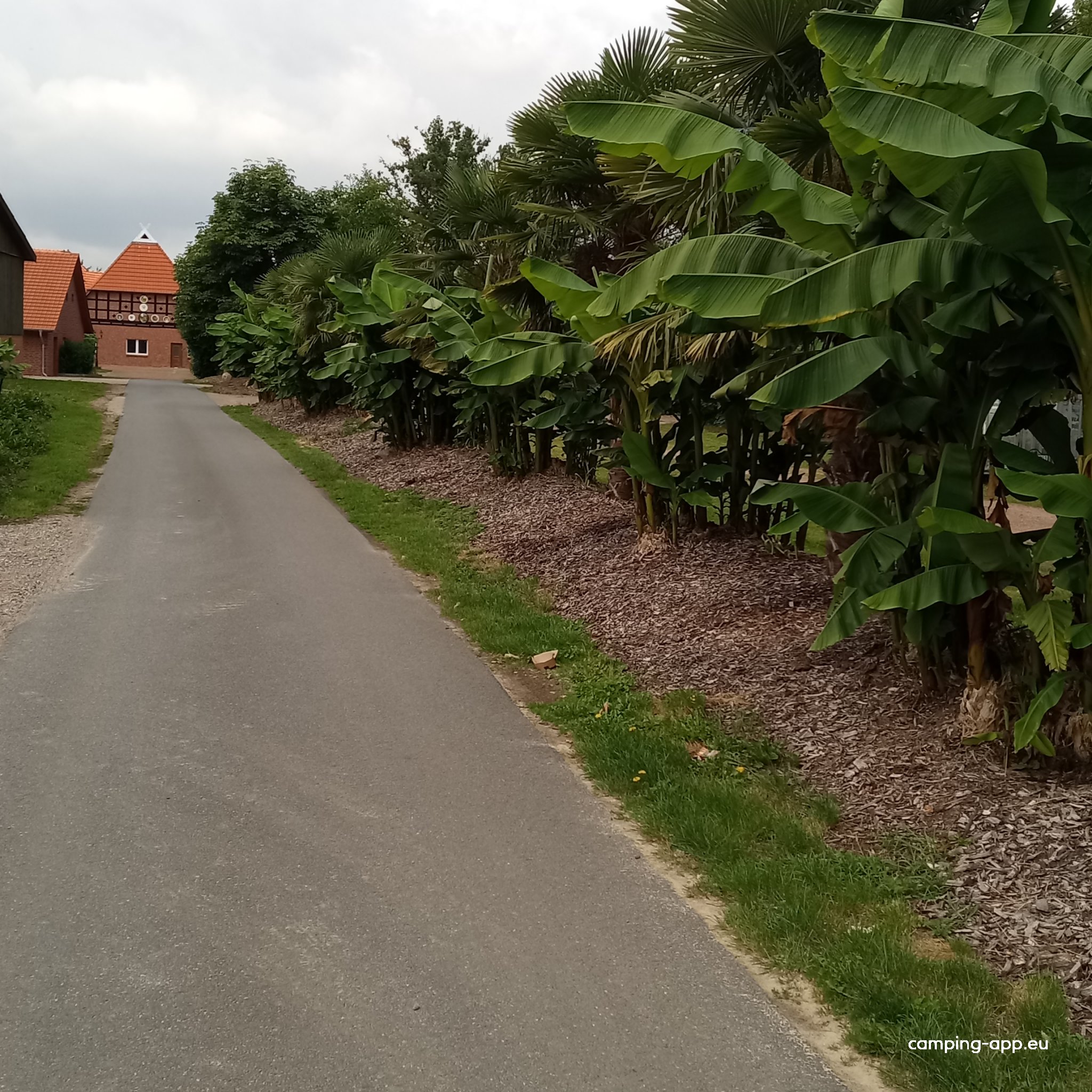 Angel und Freizeithof Weseloh — Photo 6