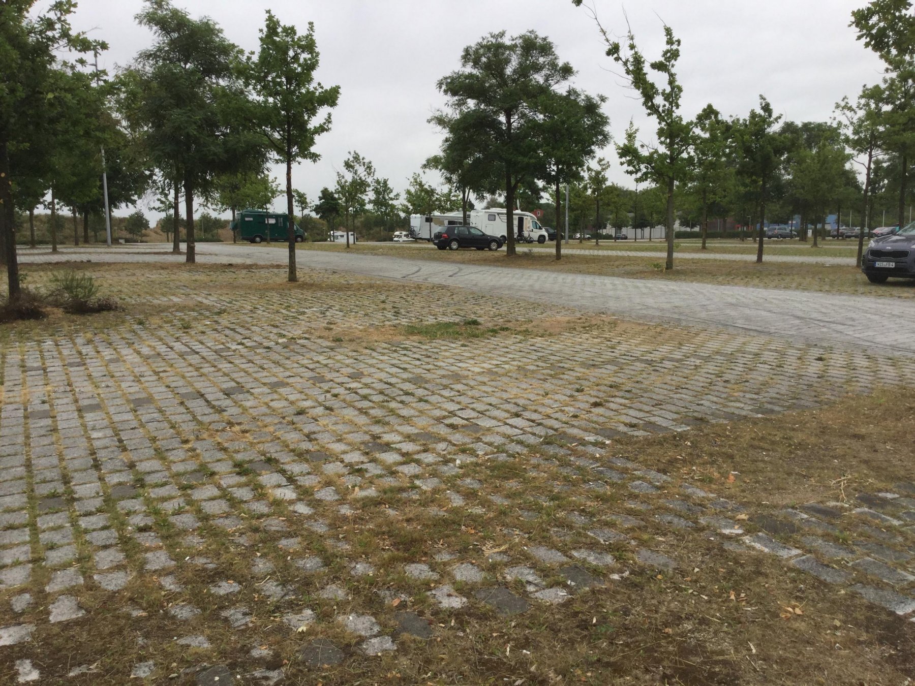 Natur Campingplatz Lilienhof — Photo 4