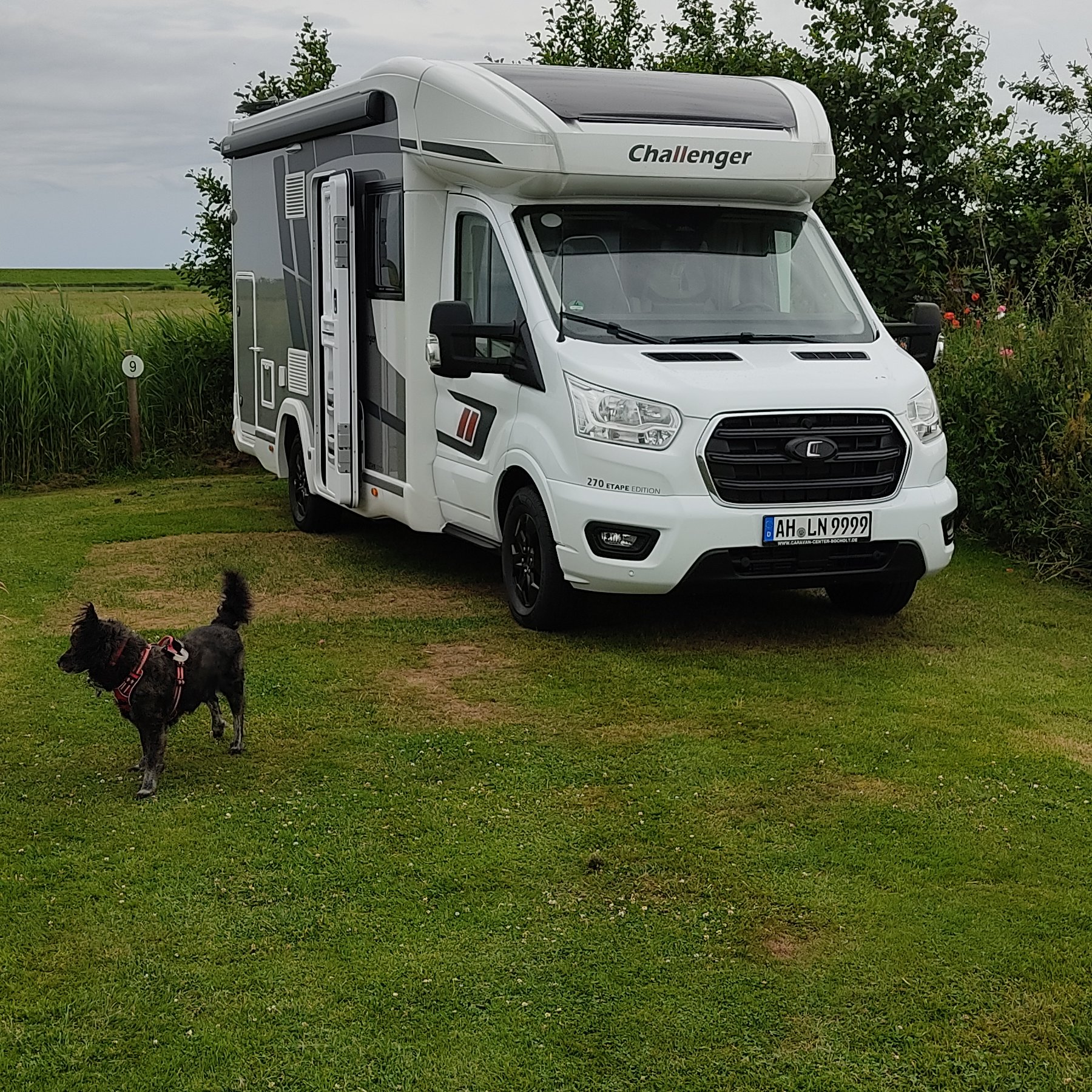 Tussen Wad en Strand