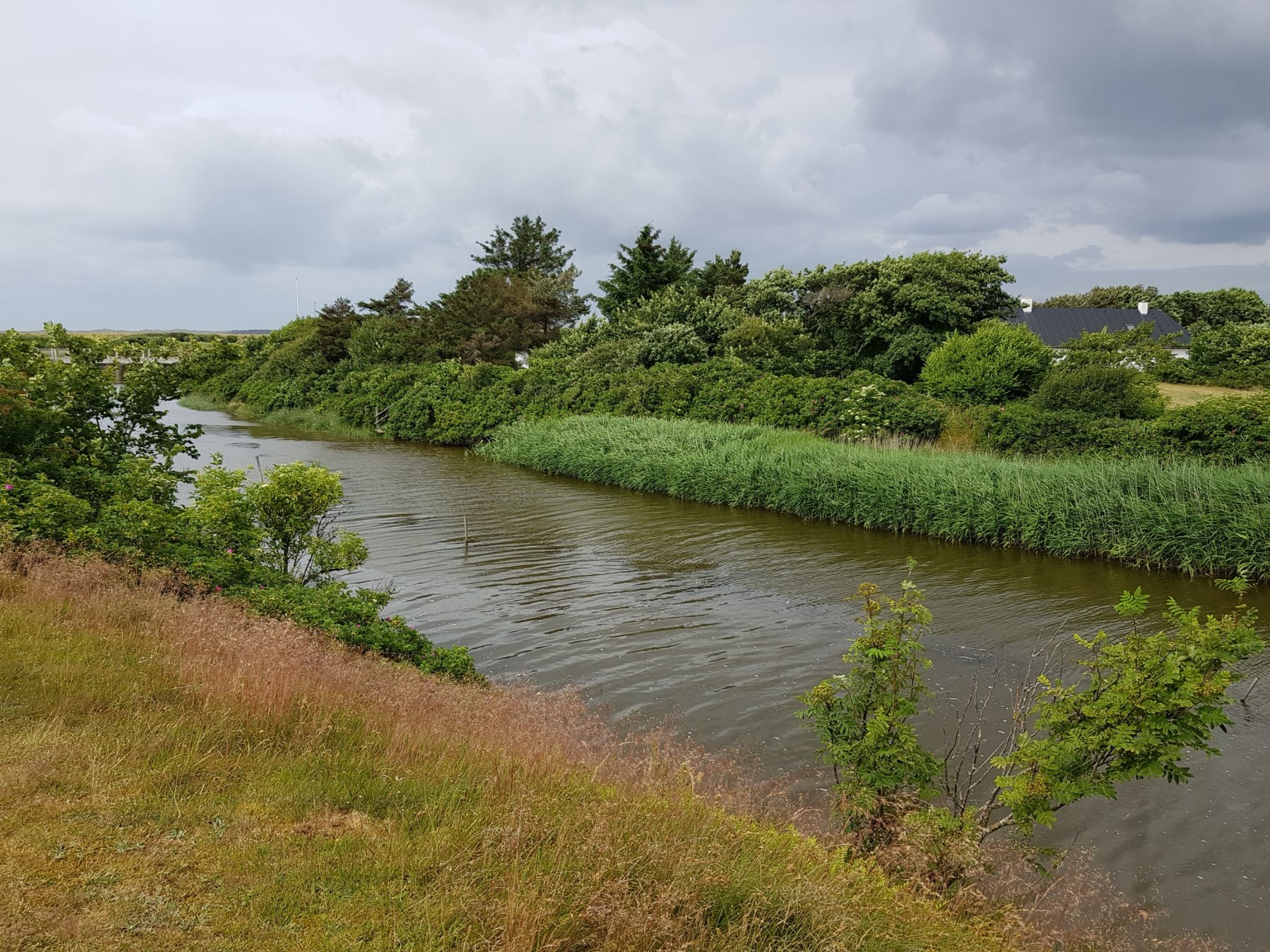 Kirk Vig Camping ***