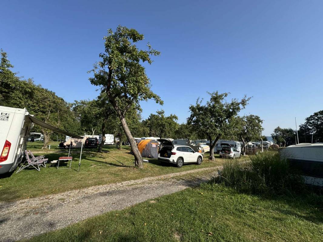 Naturcampingplatz Seecamp — Photo 4