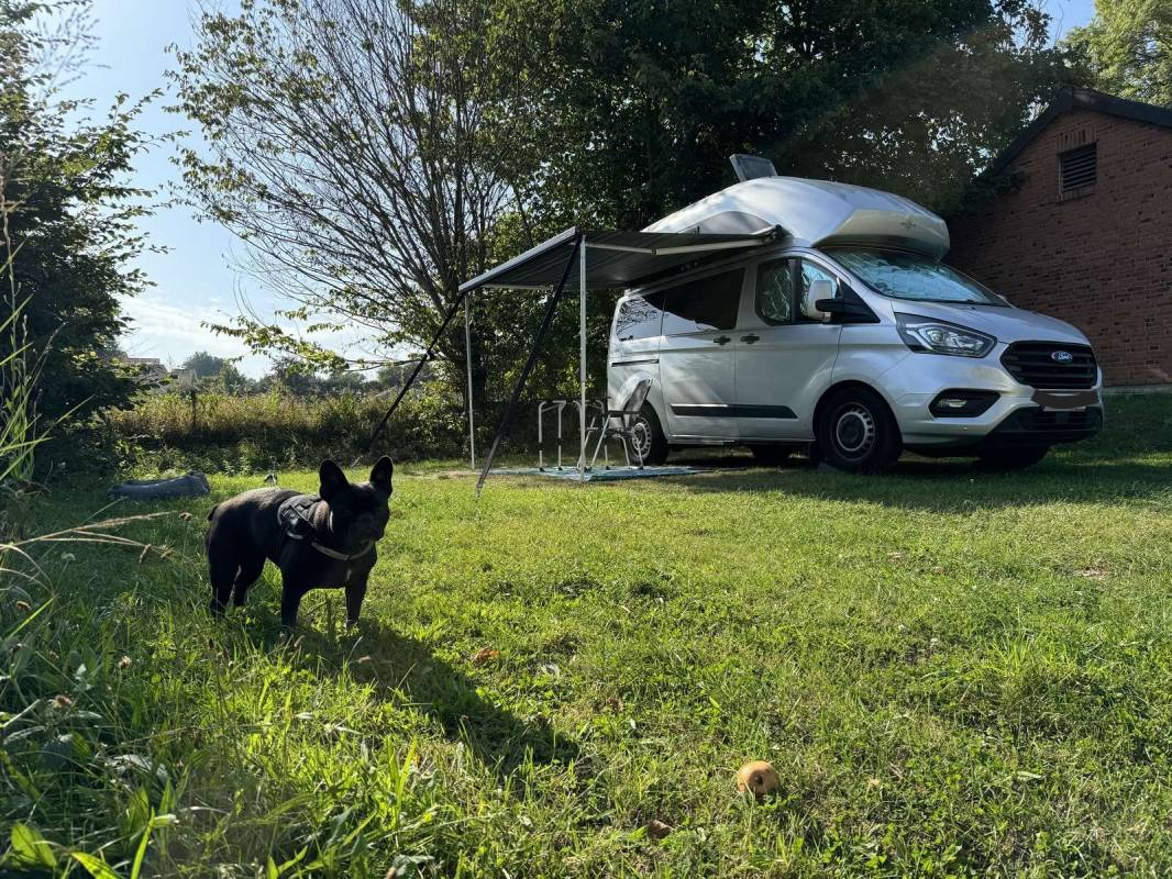 Naturcampingplatz Seecamp — Photo 5