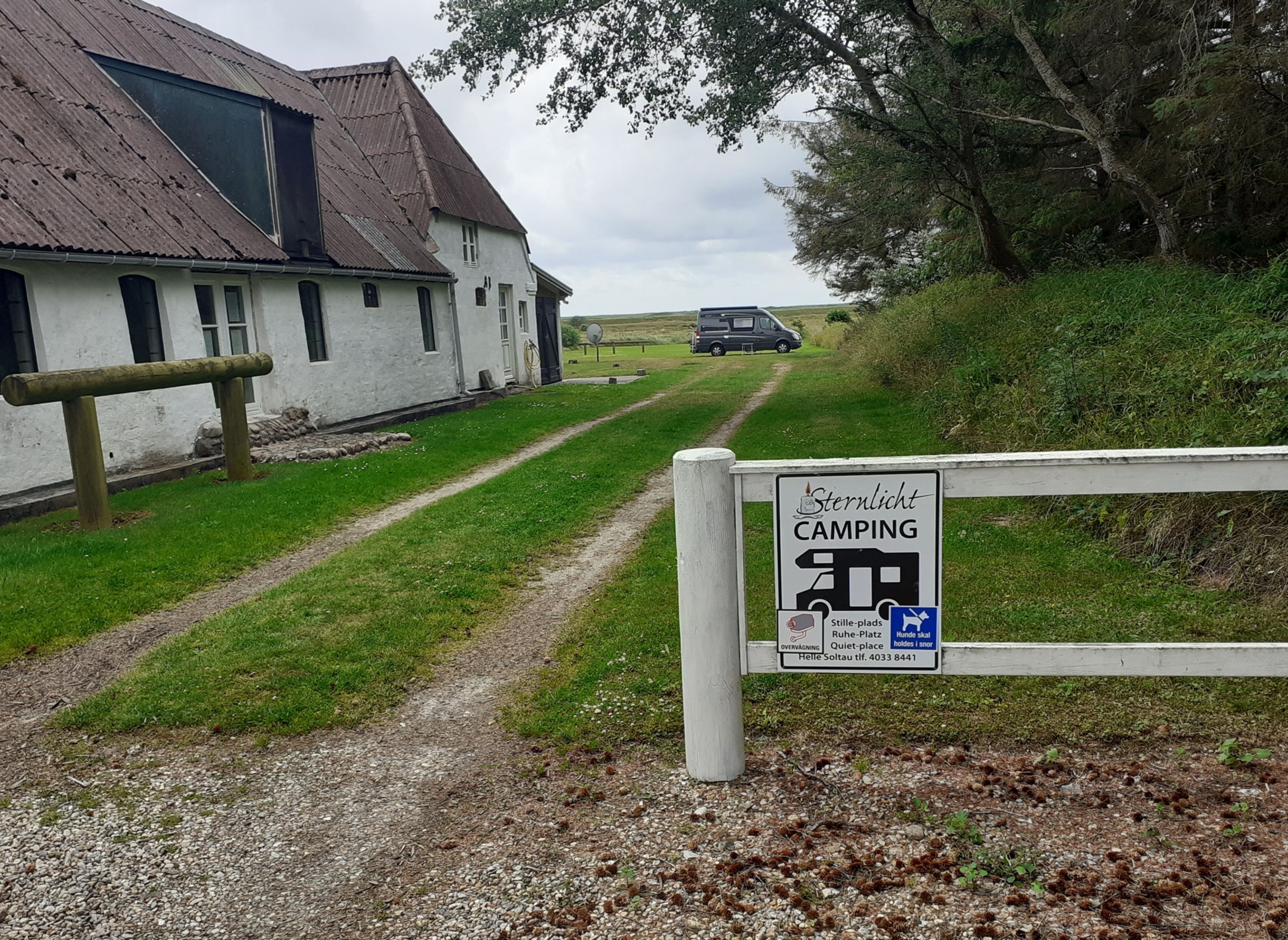 Sternlicht — Photo 5