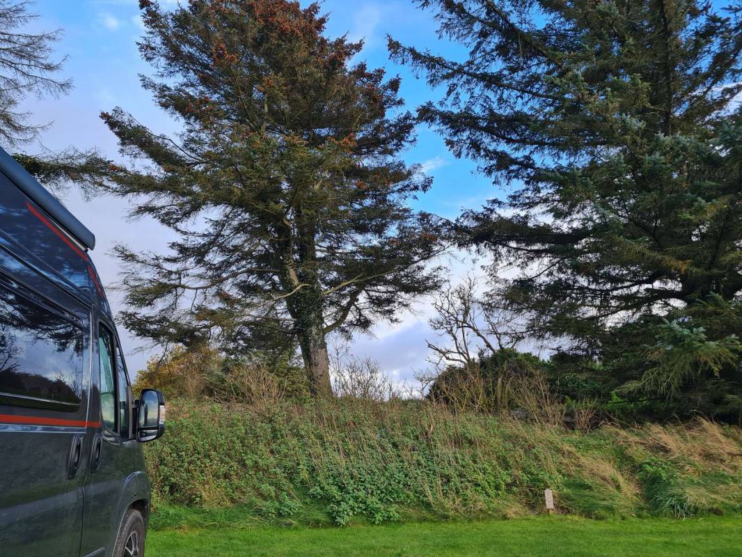 Sternlicht — Photo 6