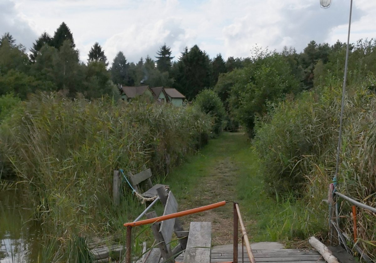 Pod Świerkami Agroturystyka — Photo 2