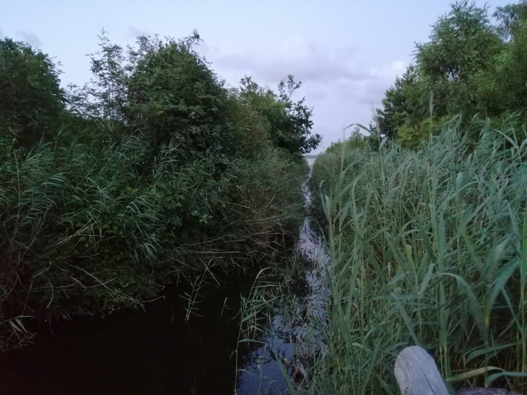 Pod Świerkami Agroturystyka — Photo 5