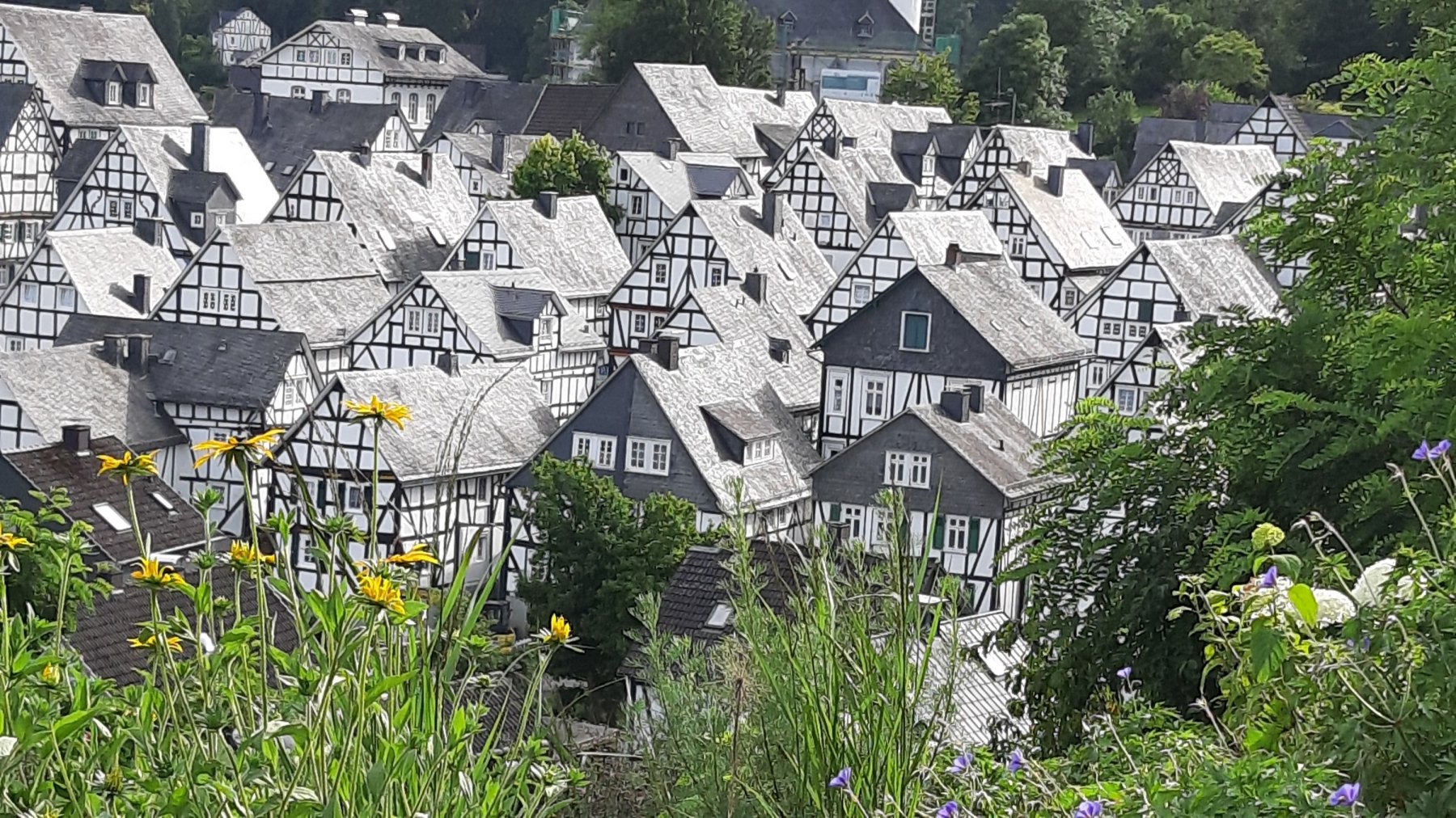 Stellplatz Freibad Gambachsweg — Photo 3