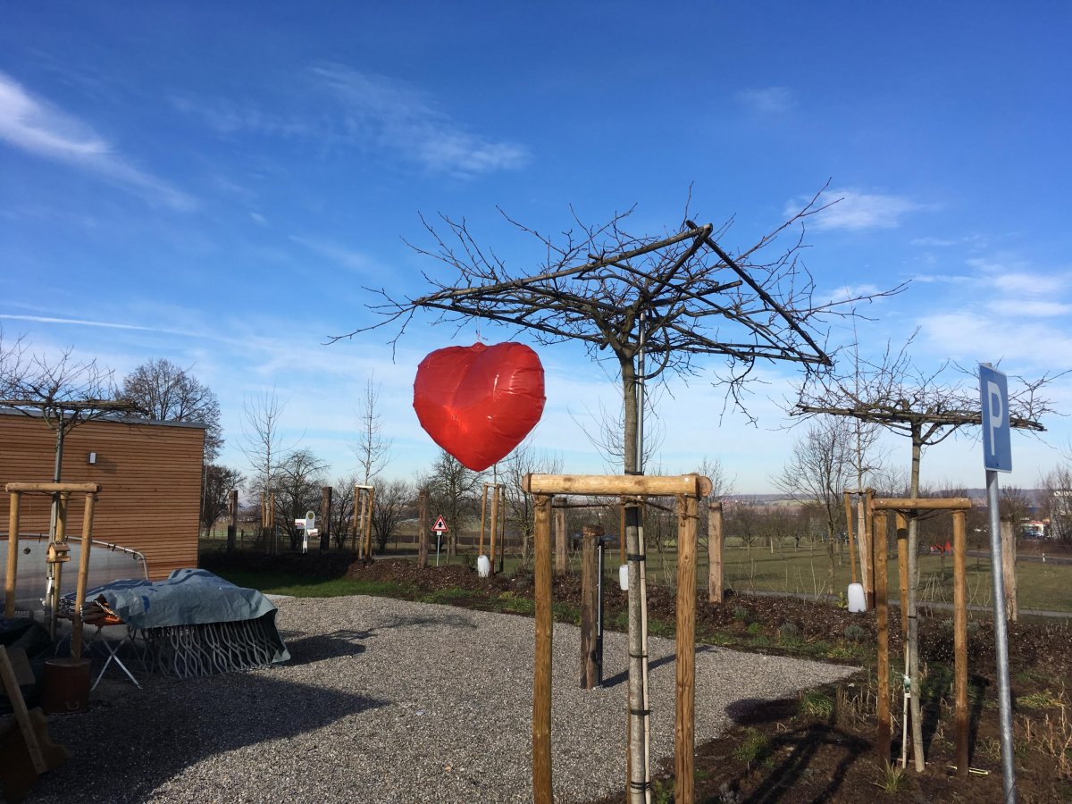 Wohnmobilpark HEICamp — Photo 2