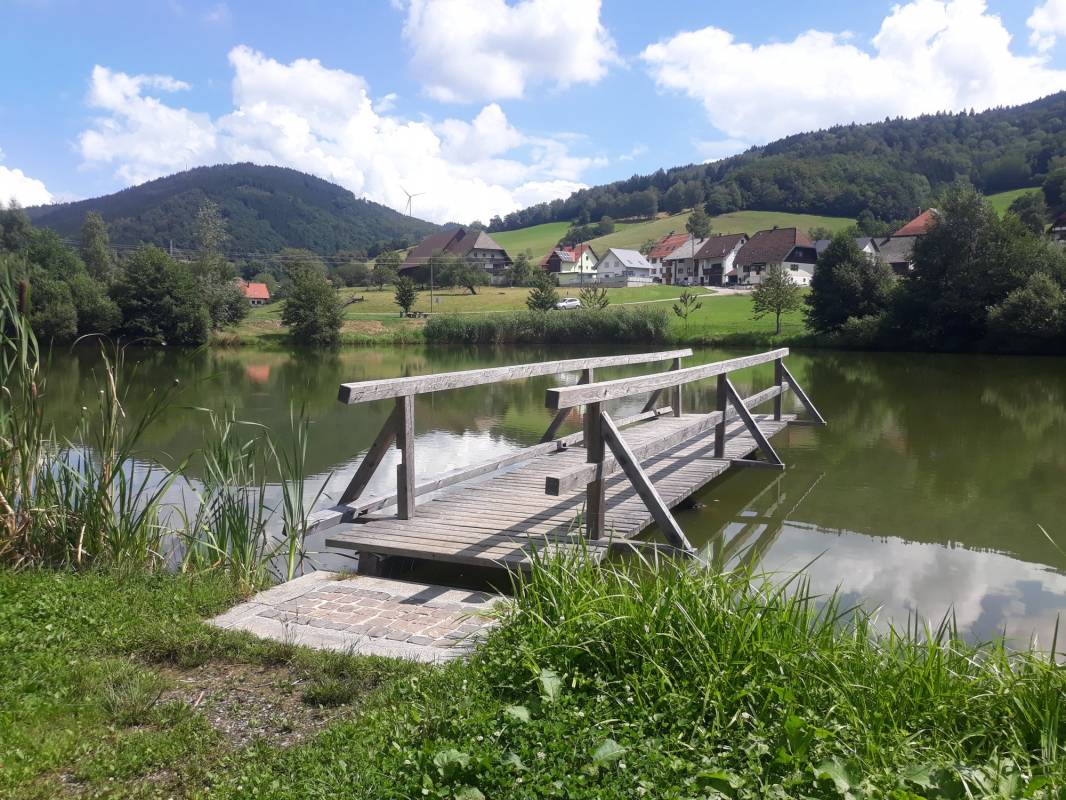 Elzach Oberprechtal — Photo 4