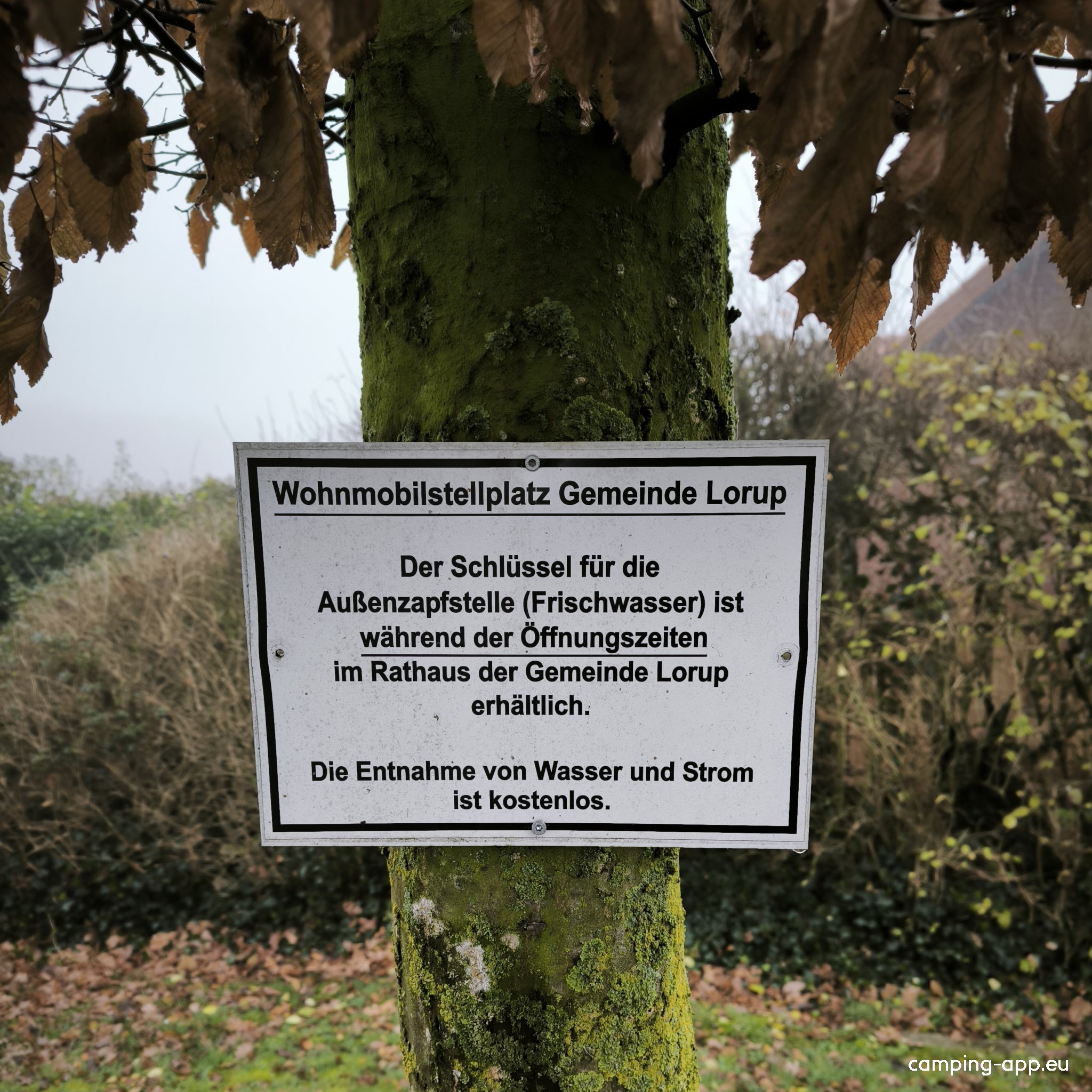 Wohnmobilstellplatz Rathaus Lorup — Photo 3