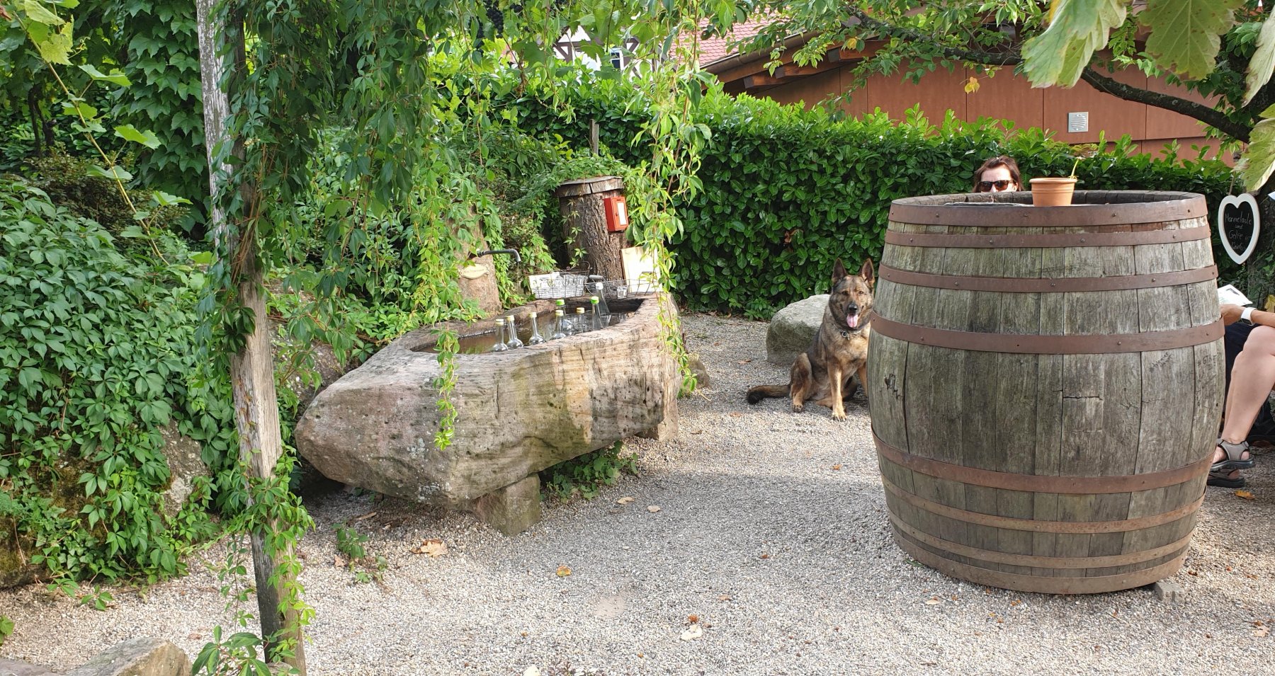 Stellplatz Sasbachwalden — Photo 2