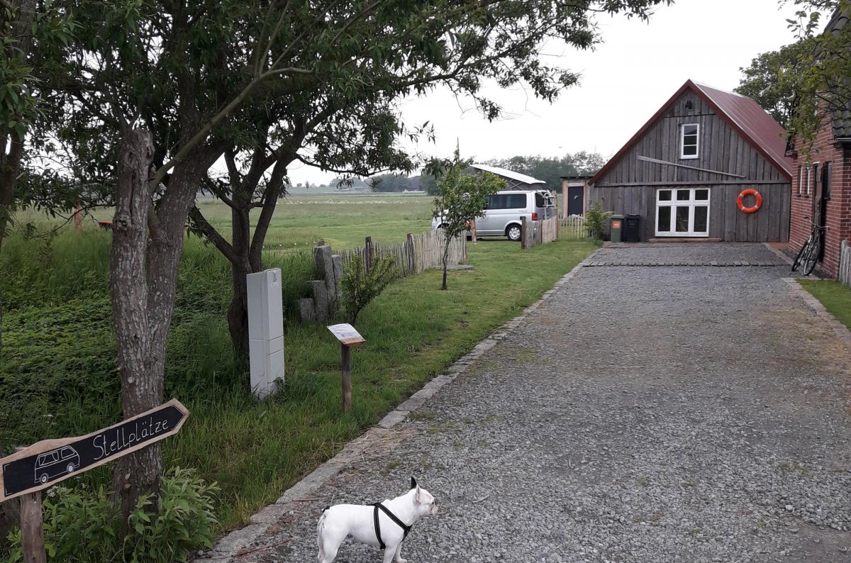 Stellplatz am Elbdeich VANdalusian