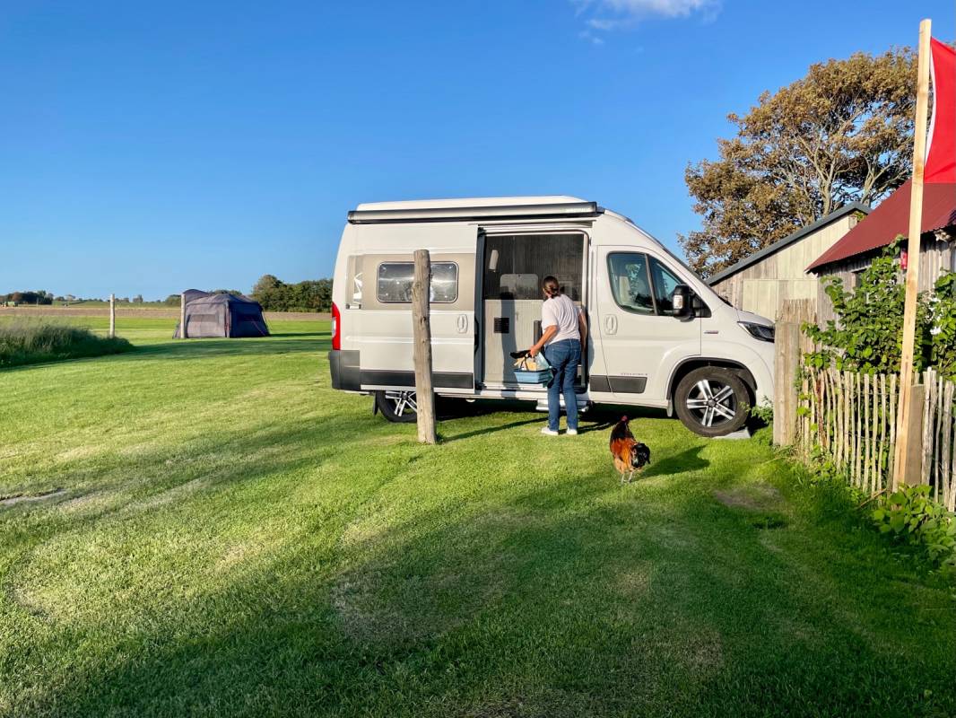 Stellplatz am Elbdeich VANdalusian — Photo 4