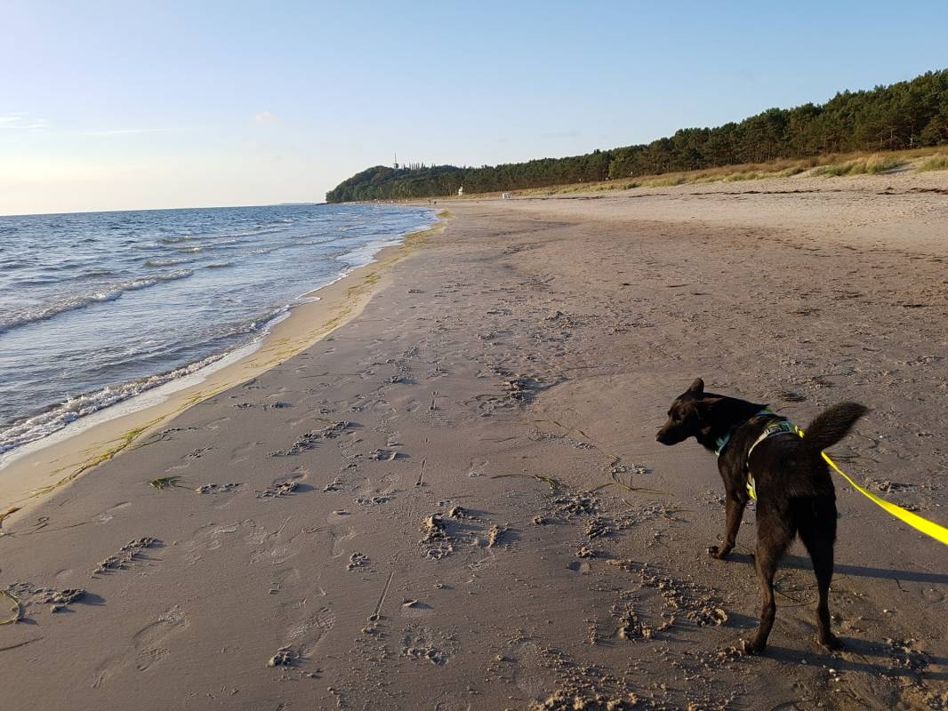 Campingplatz Thiessow — Photo 4