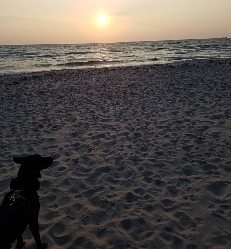 Campingplatz Thiessow — Photo 6