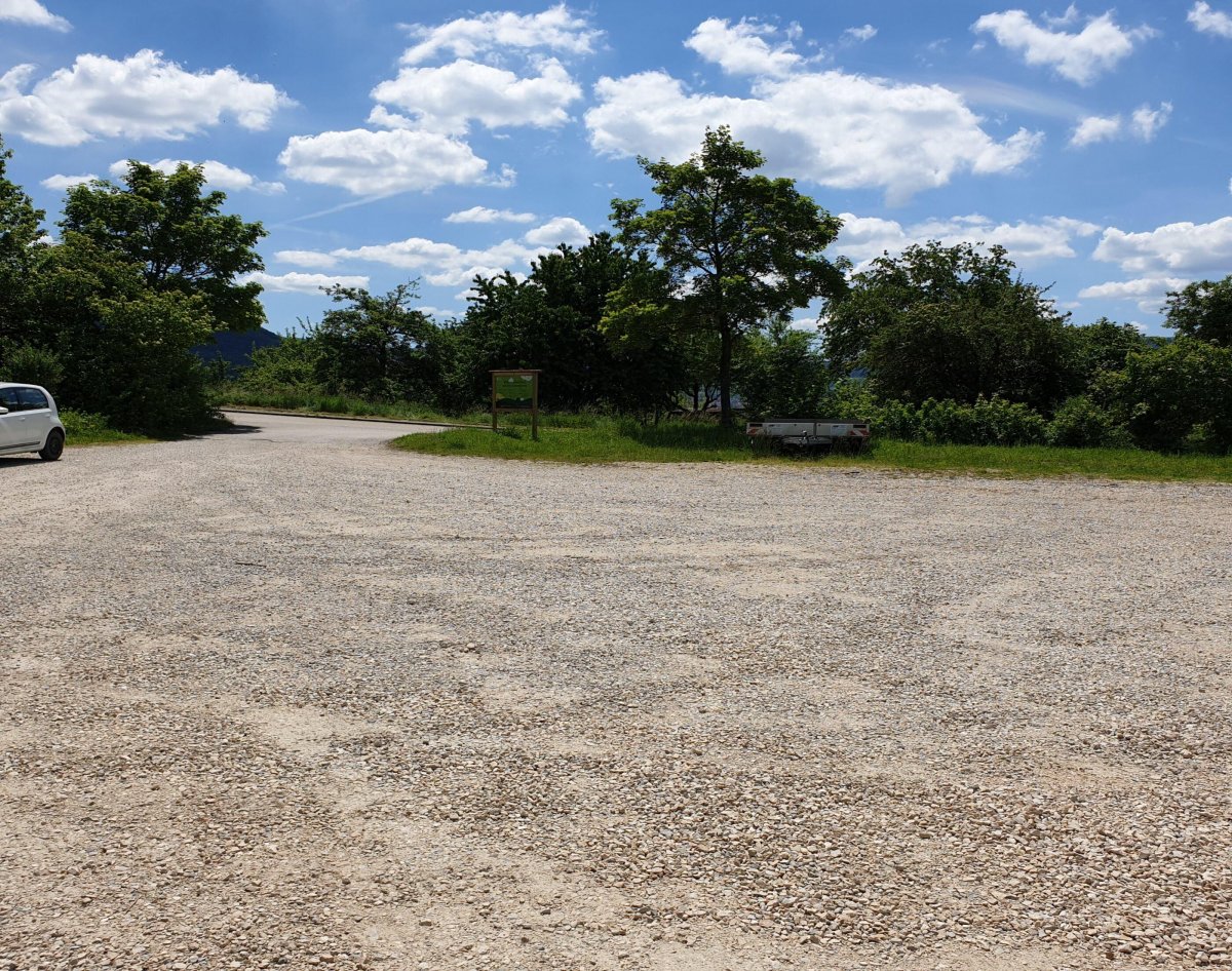 Wohnmobilstellplatz Frickenhausen — Photo 3