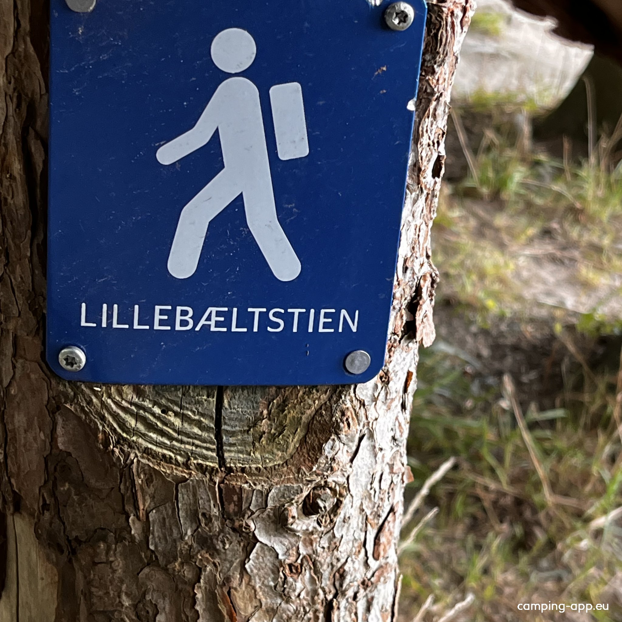 Galsklint Camping — Photo 5