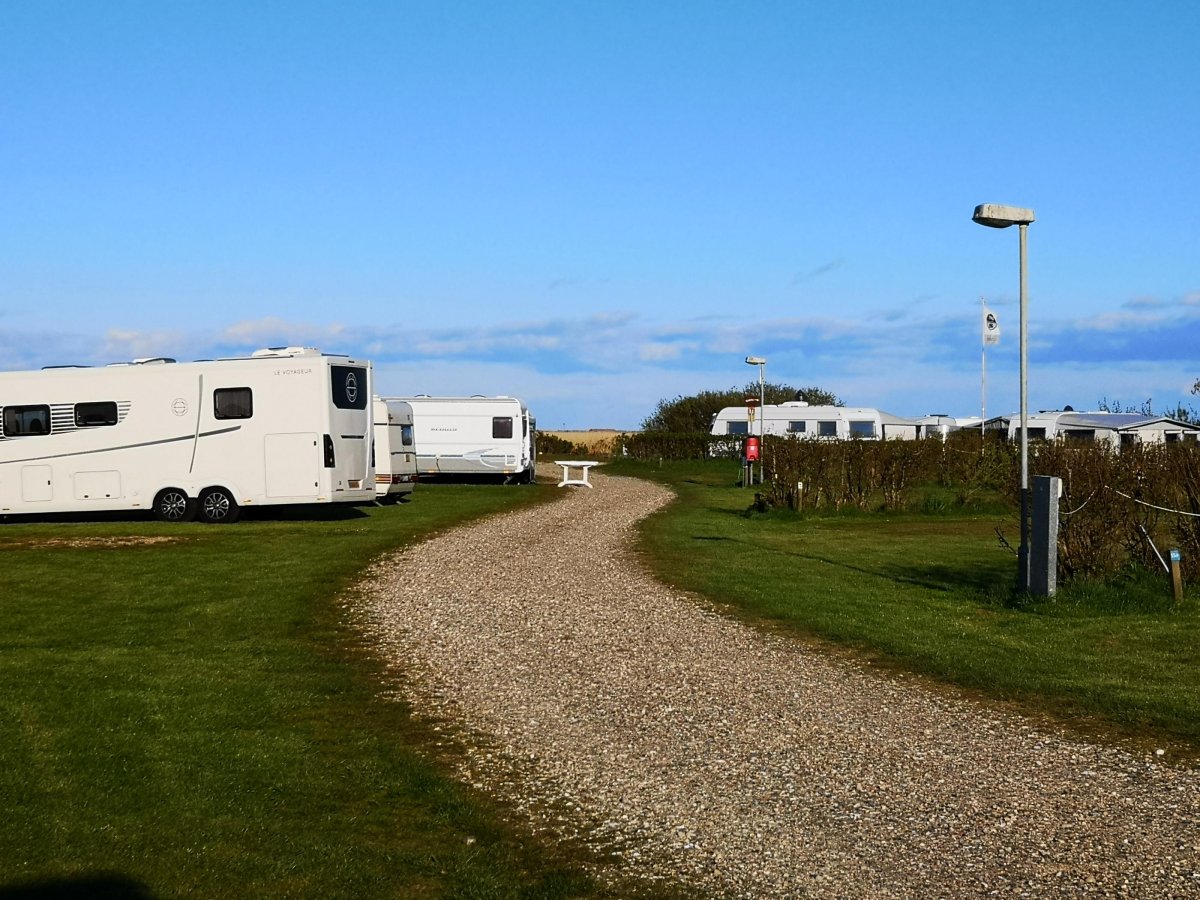 Bjerregaard Campingplatz — Photo 2