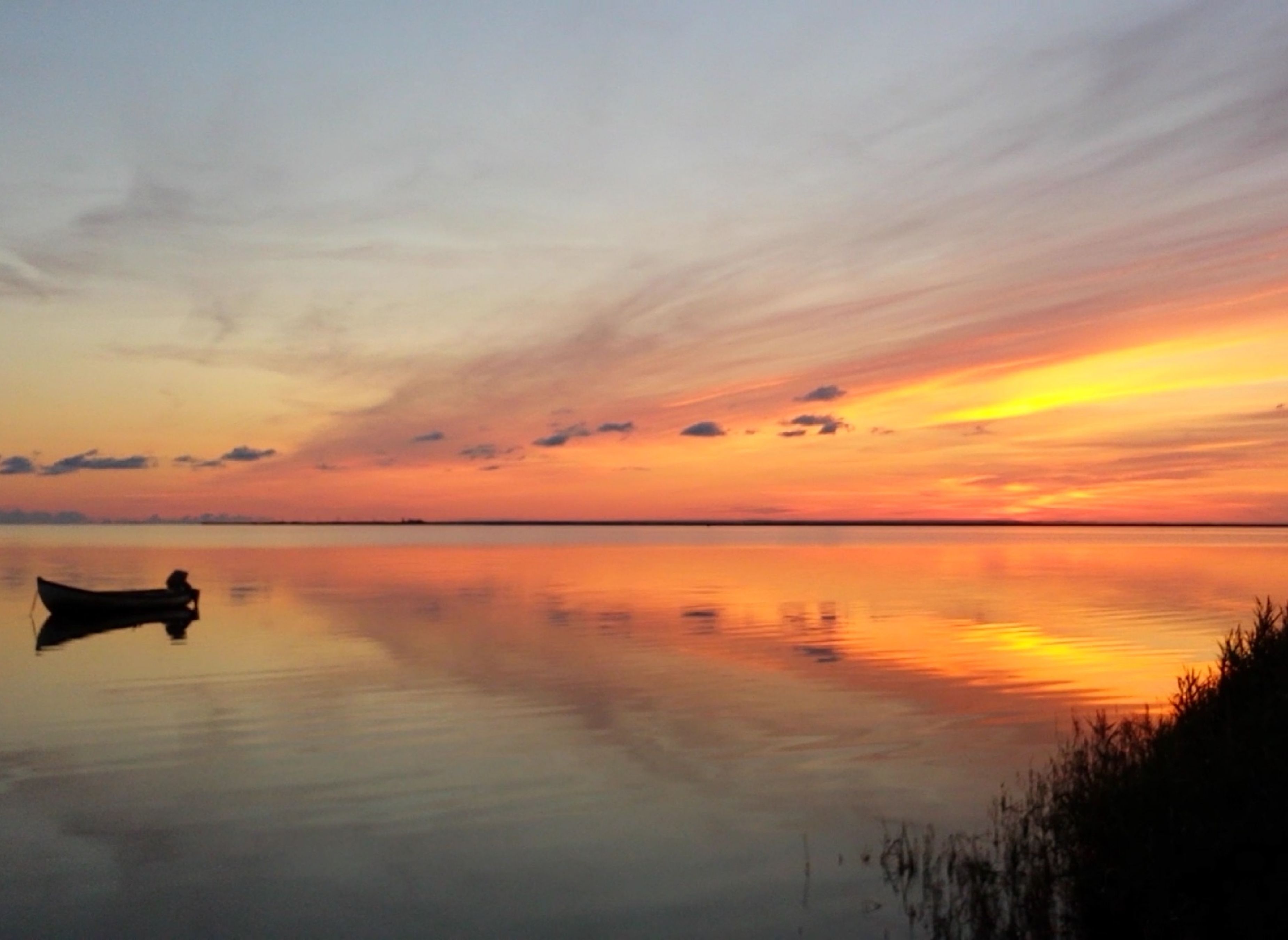 Bjerregaard Campingplatz — Photo 6