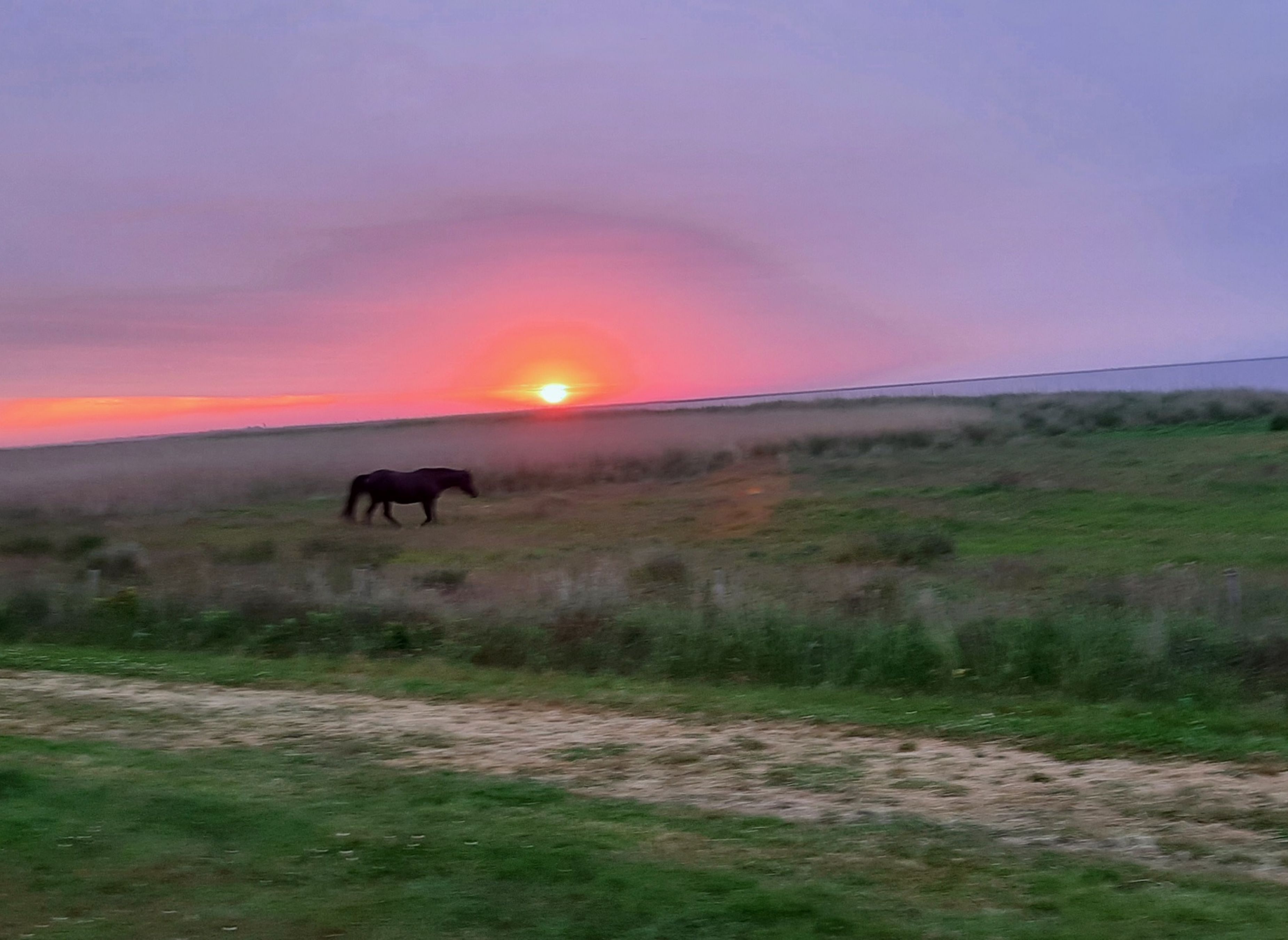 Bjerregaard Campingplatz — Photo 5