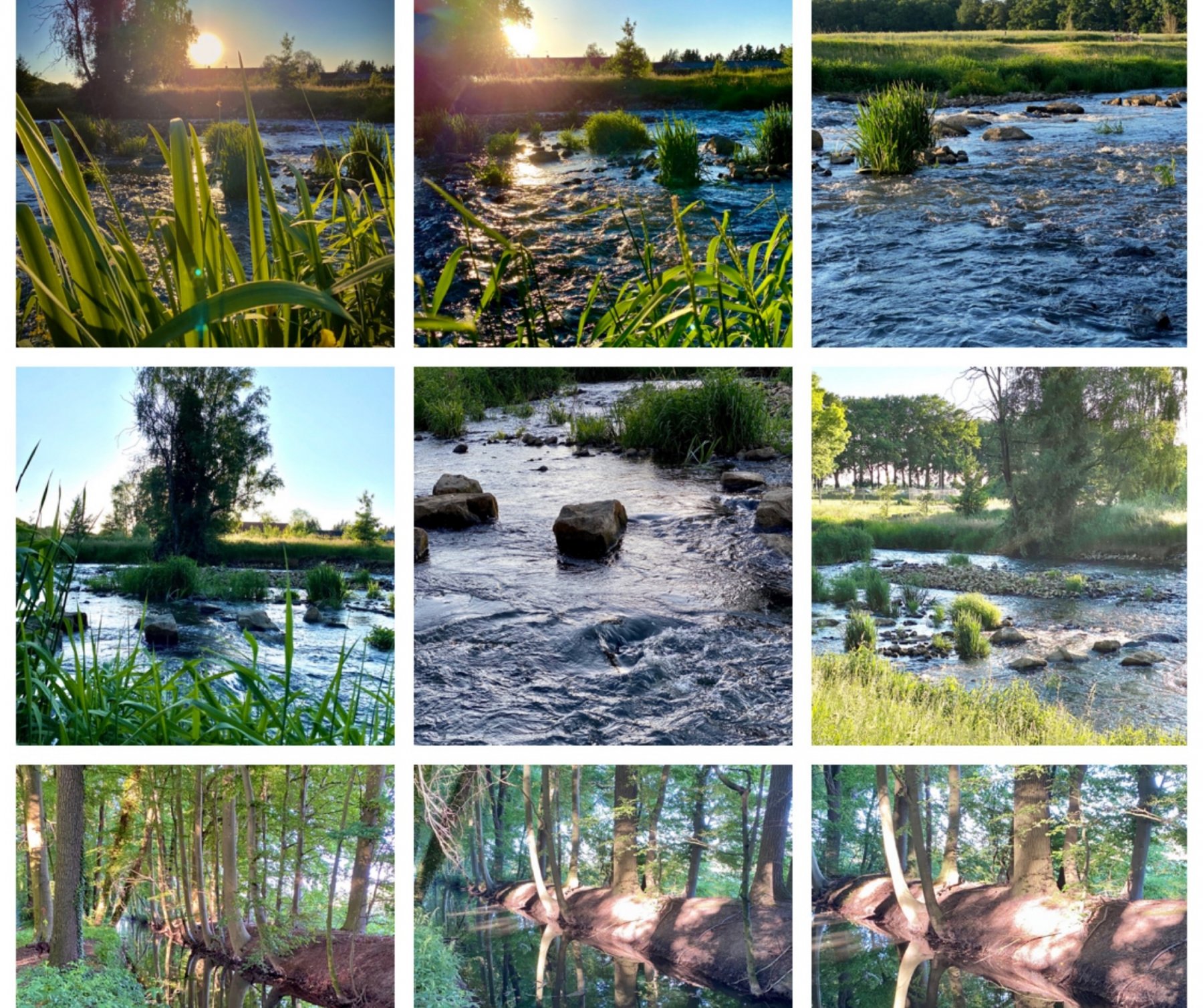 Am Schützenhof — Photo 5