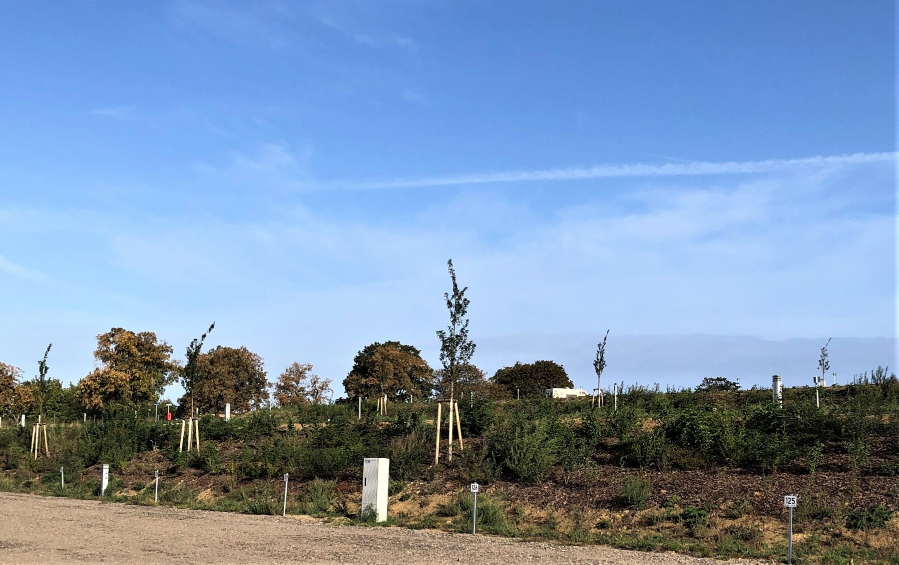 Ferienpark Wismar Lütt Moor — Photo 4