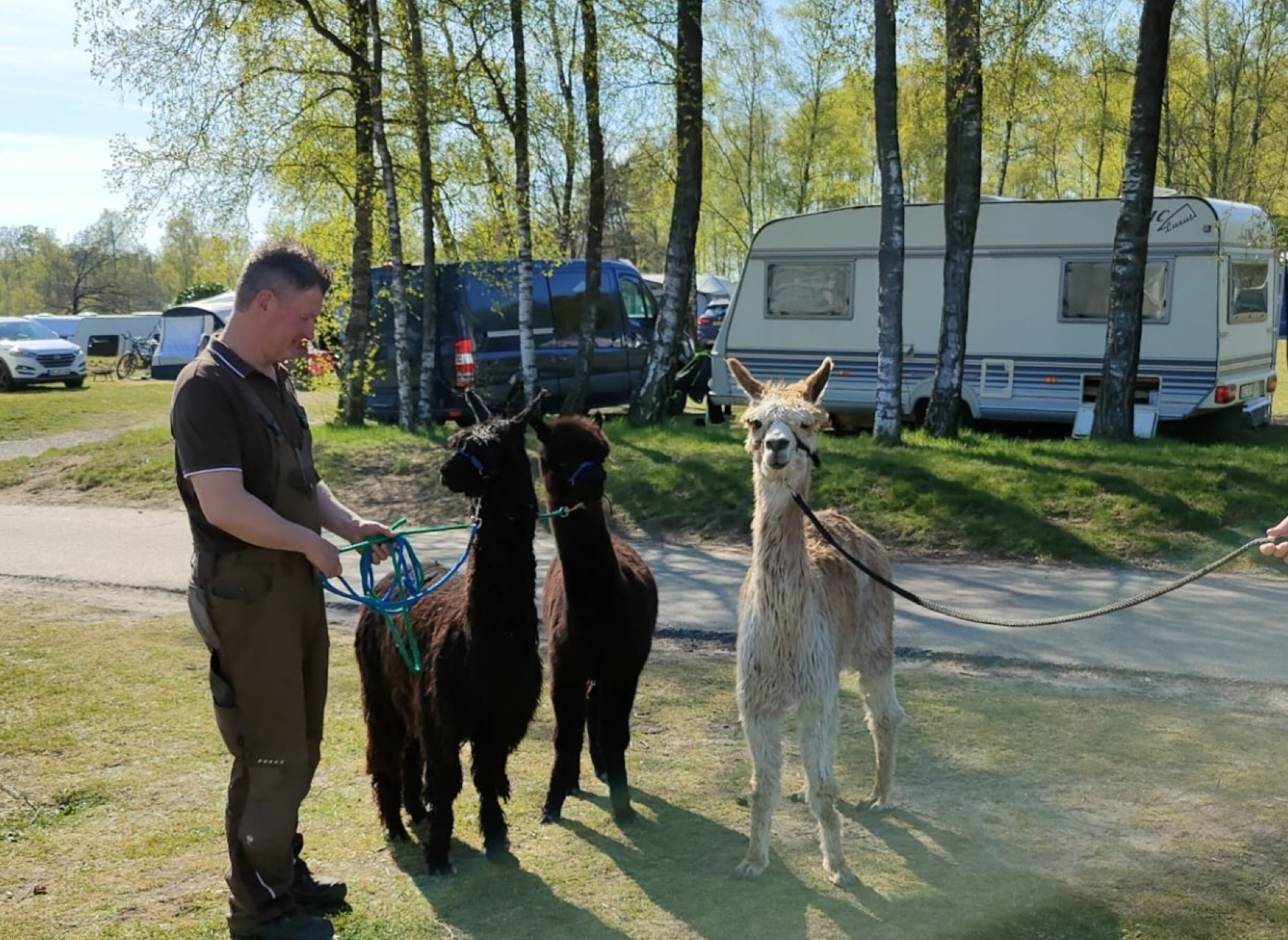 Campingplatz Wilsumer Berge Ost — Photo 4