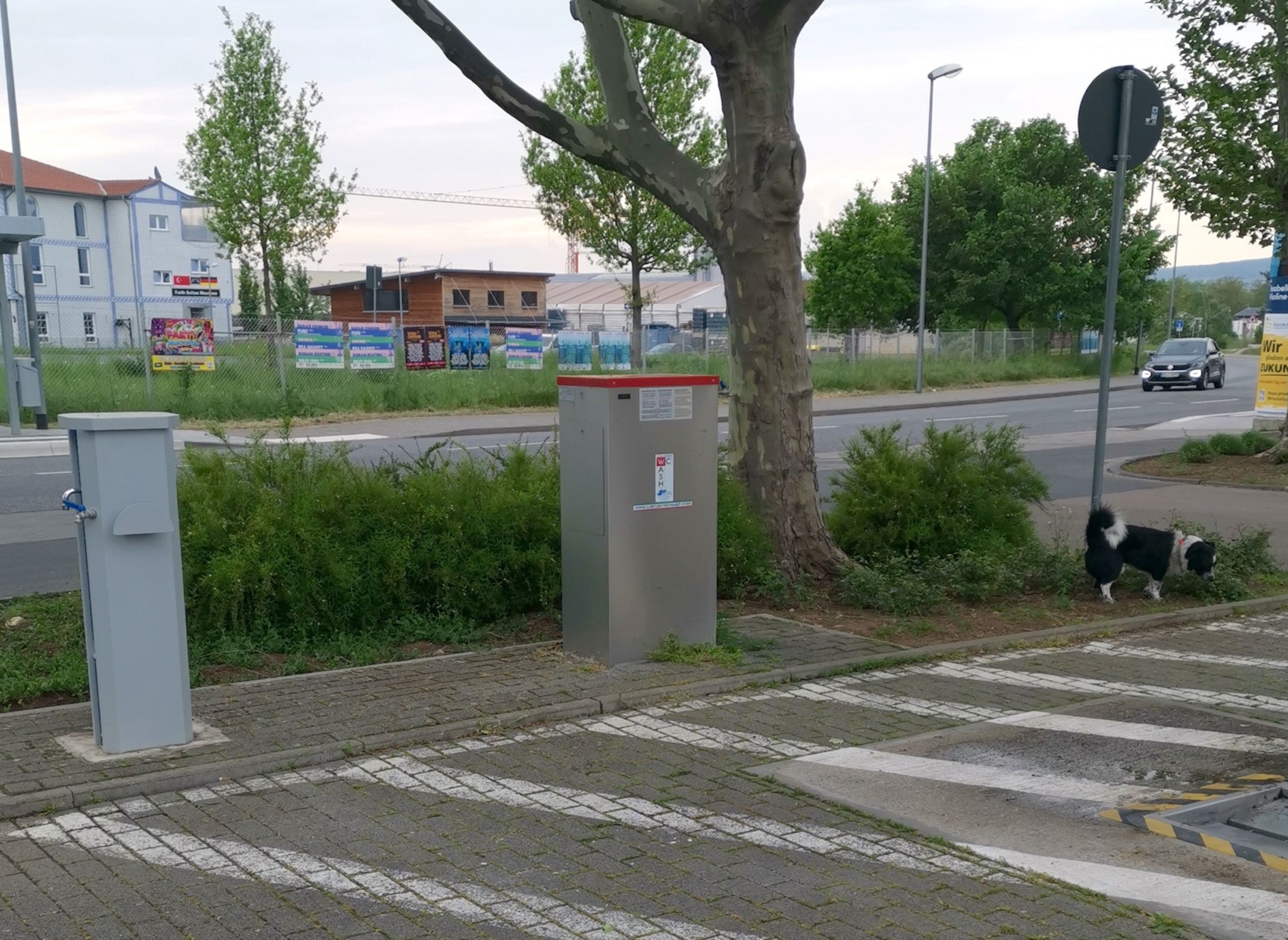 Stellplatz Ingelheim — Photo 2