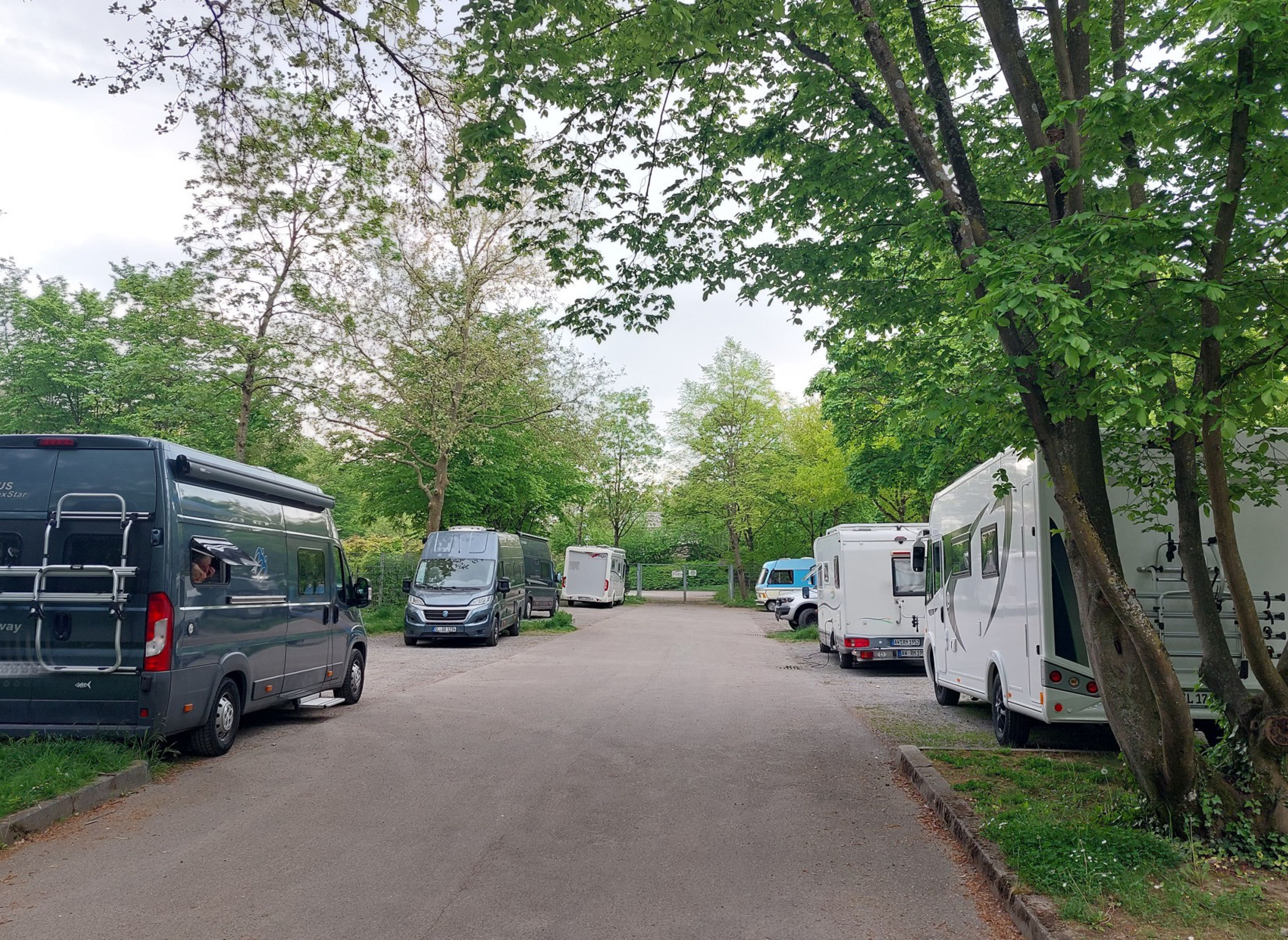 Stellplatz Neckarhalde — Photo 4